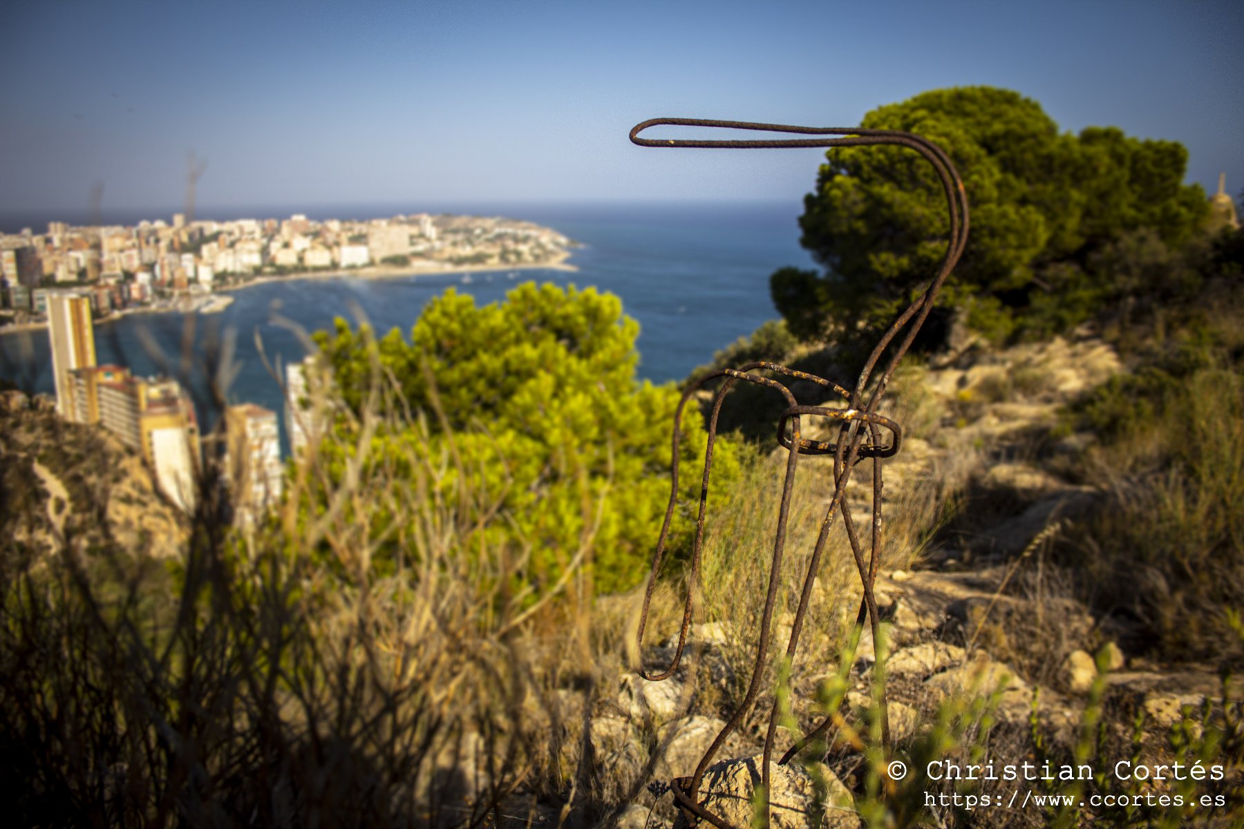 IMG 0117 WEB