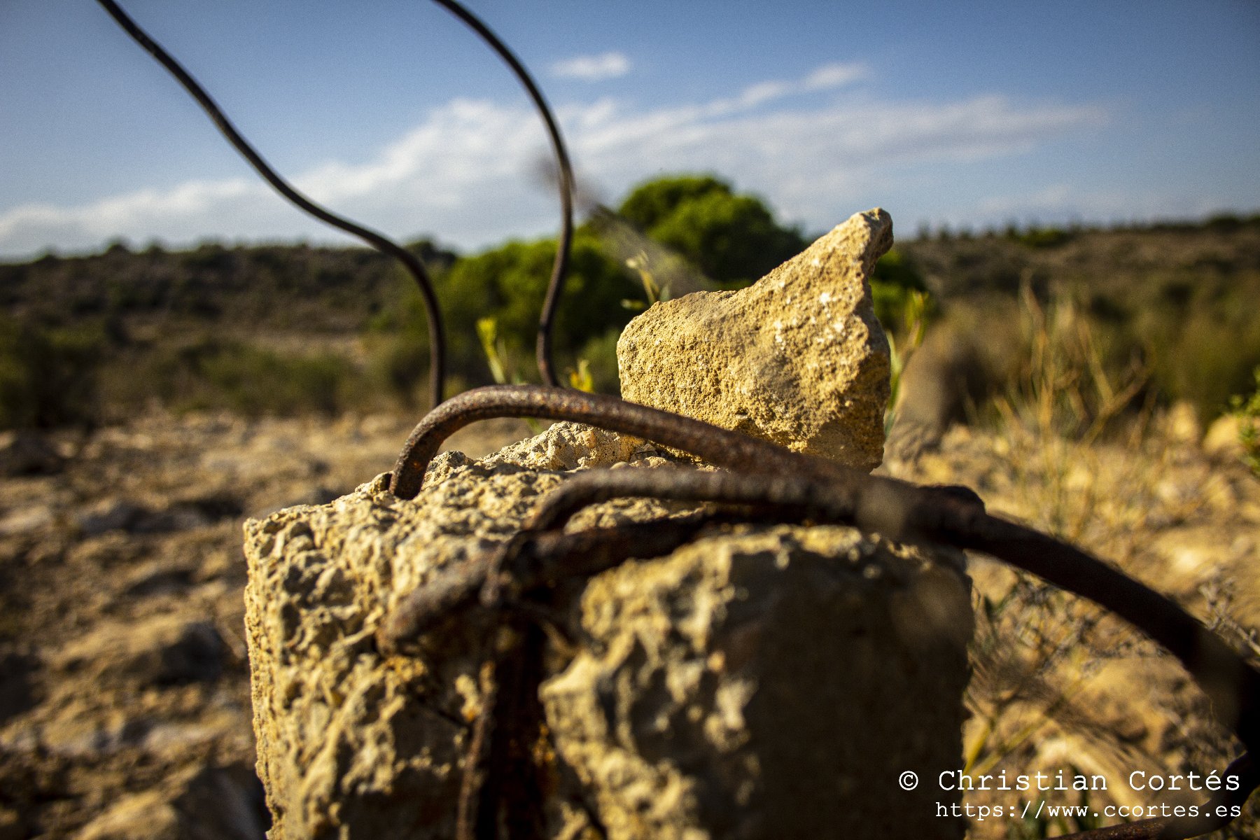 IMG 0132 WEB