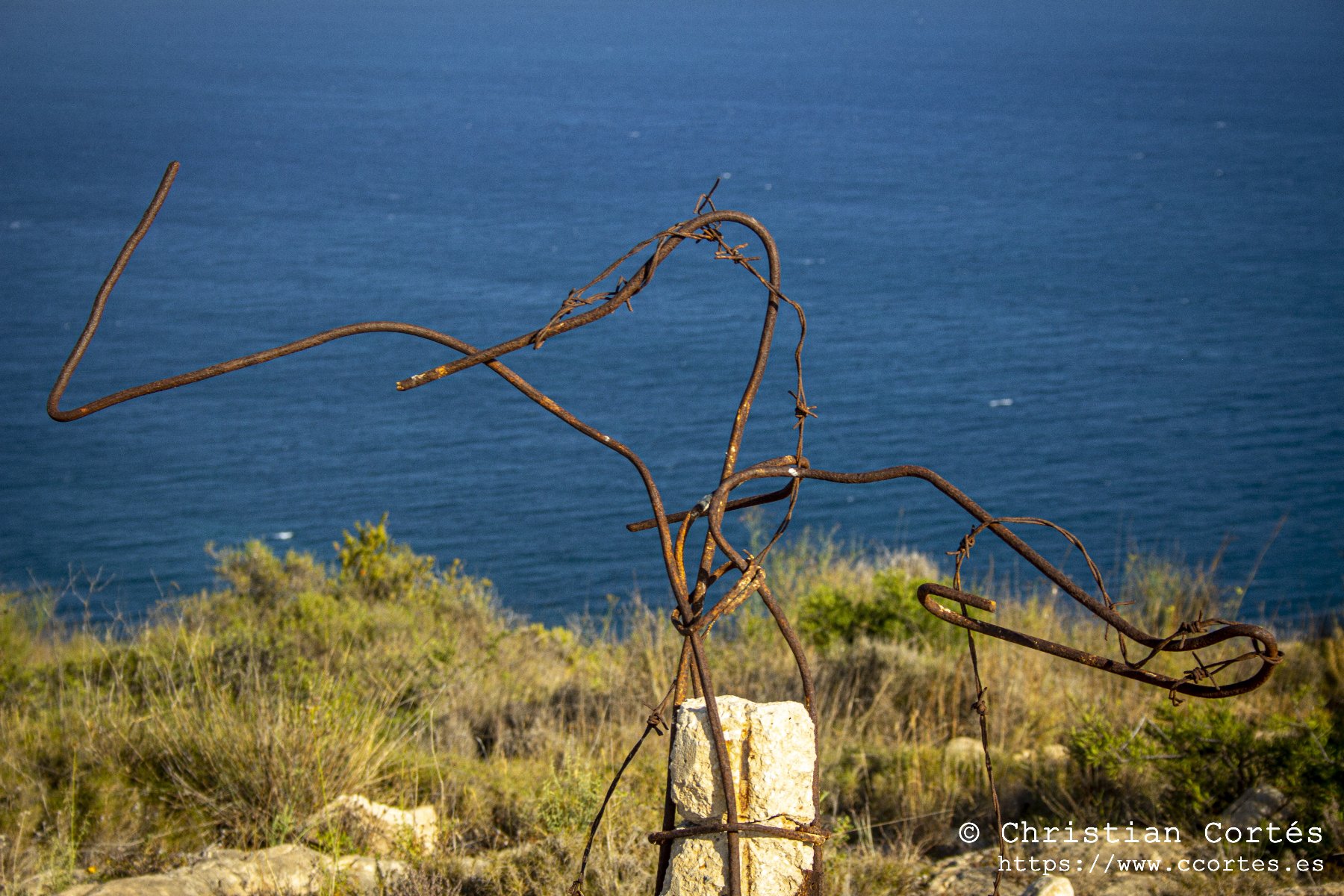 IMG 0150 WEB