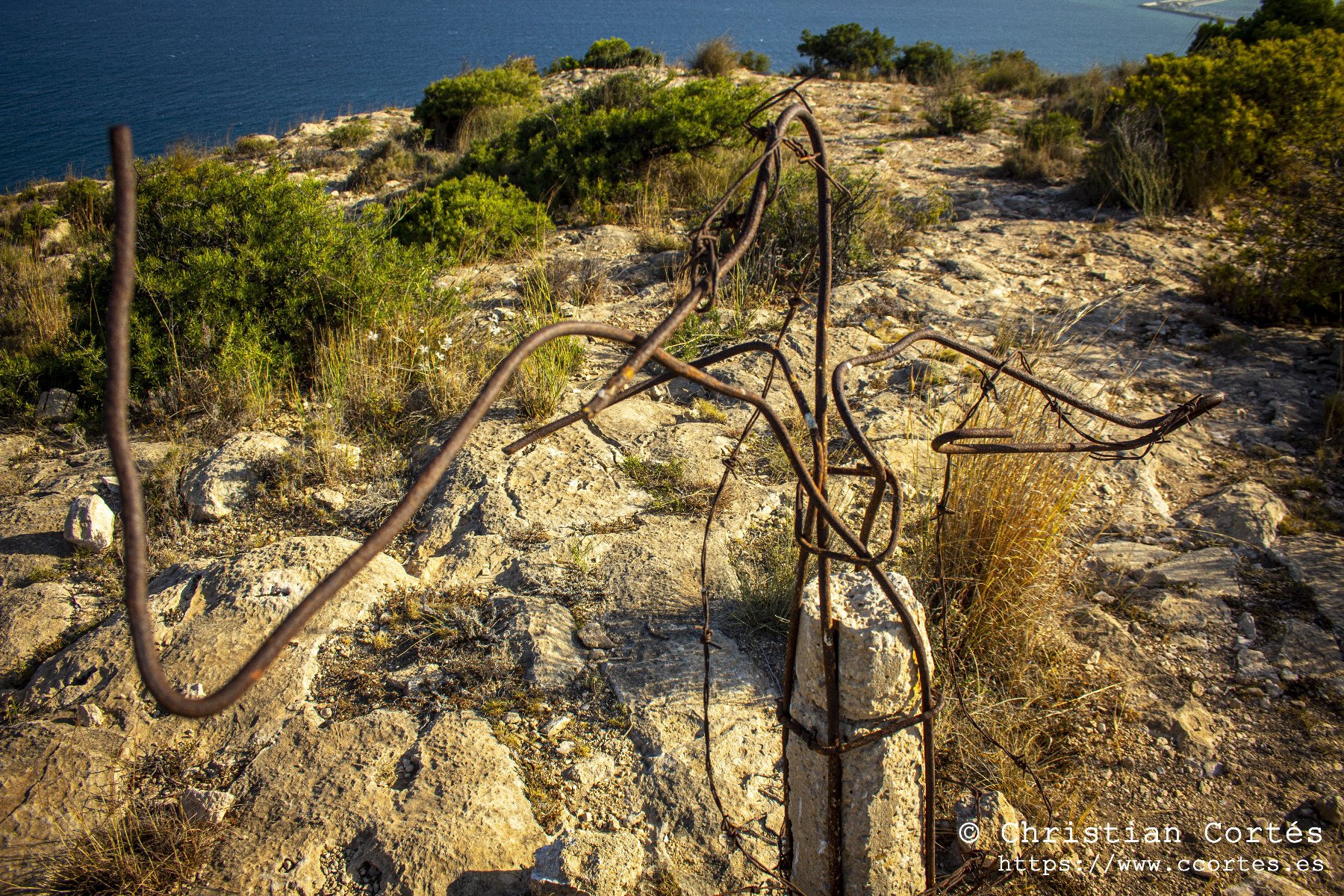 IMG 0152 WEB