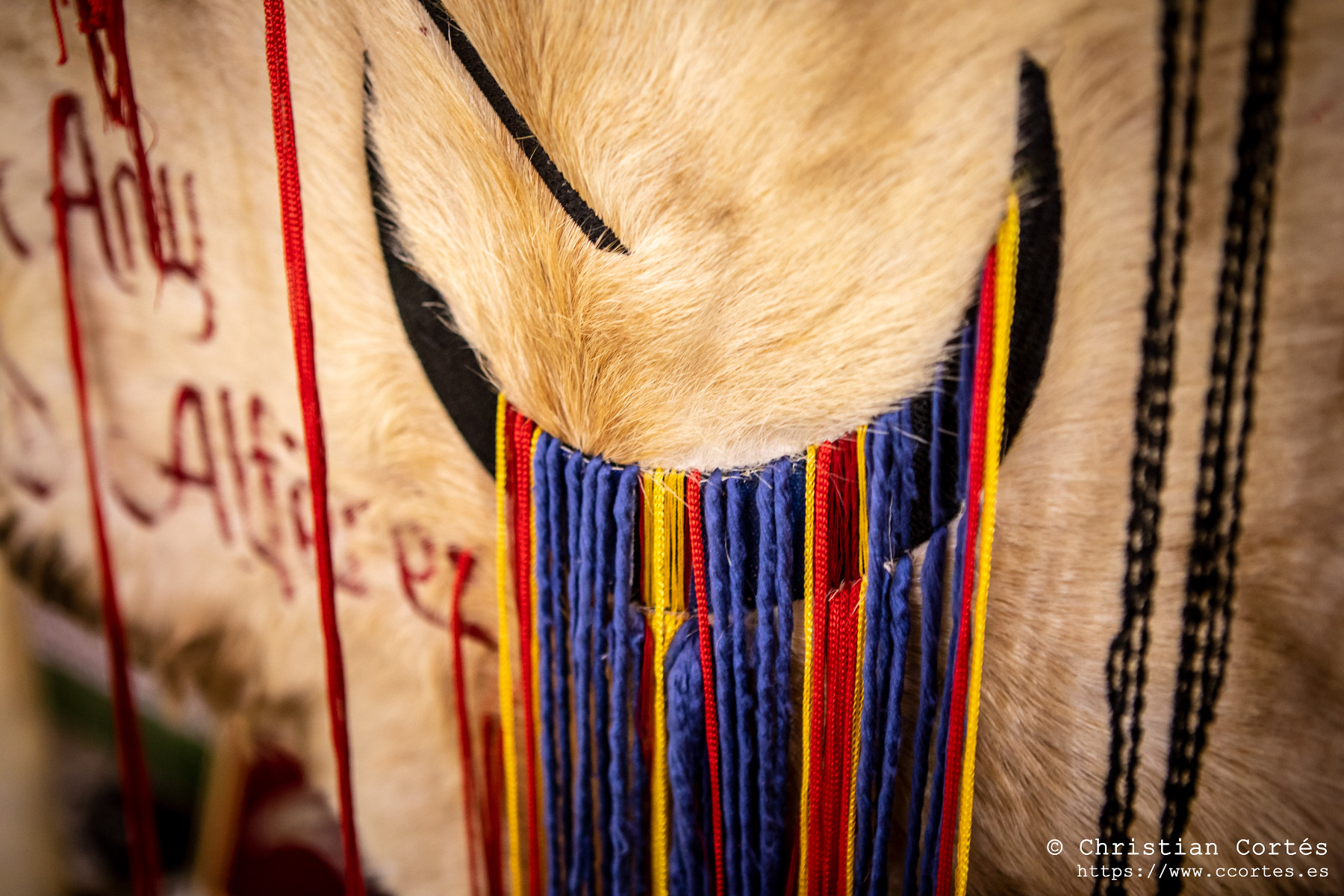 20240622 HeraldicaMarrakesch Presentacio 35