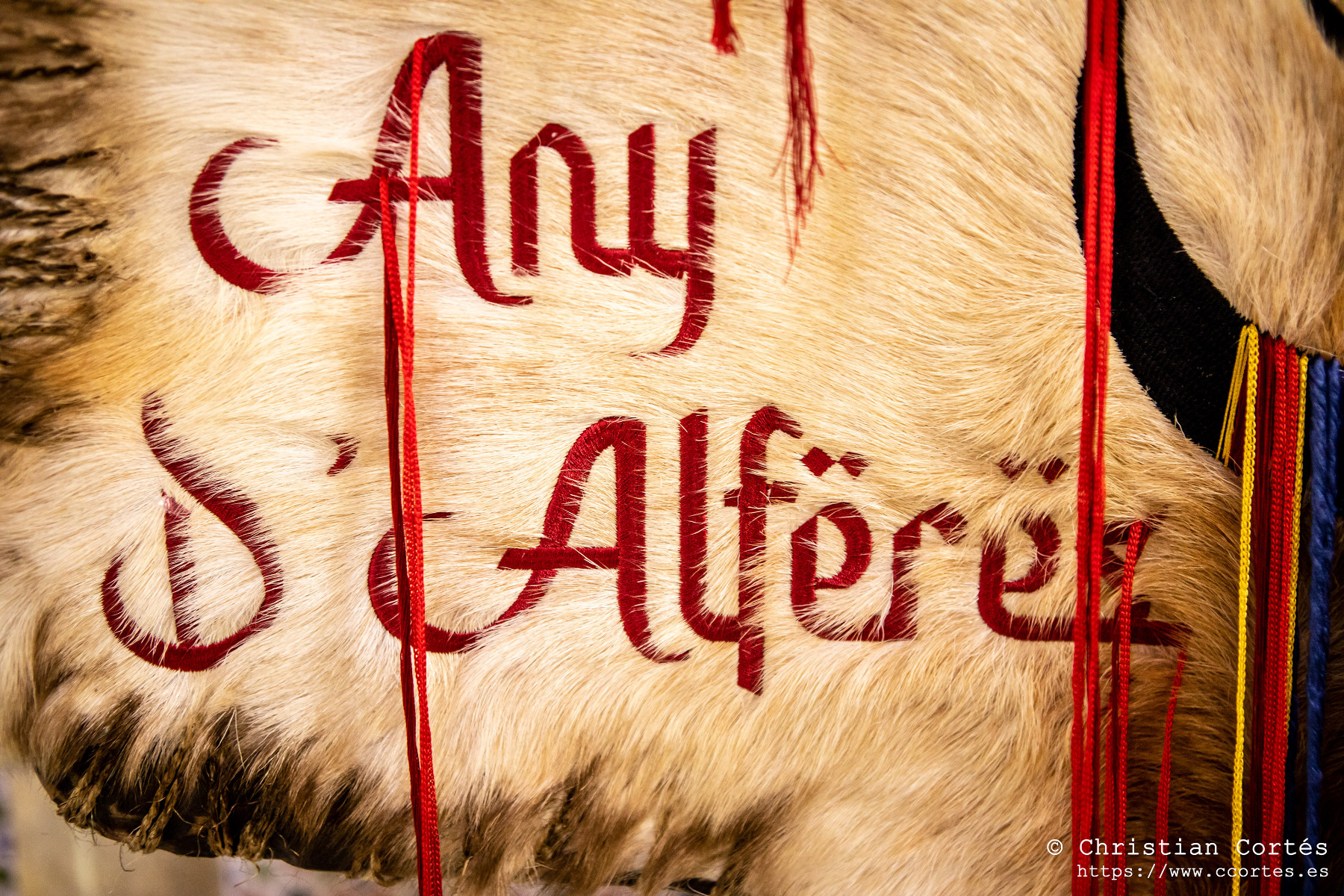 20240622 HeraldicaMarrakesch Presentacio 36