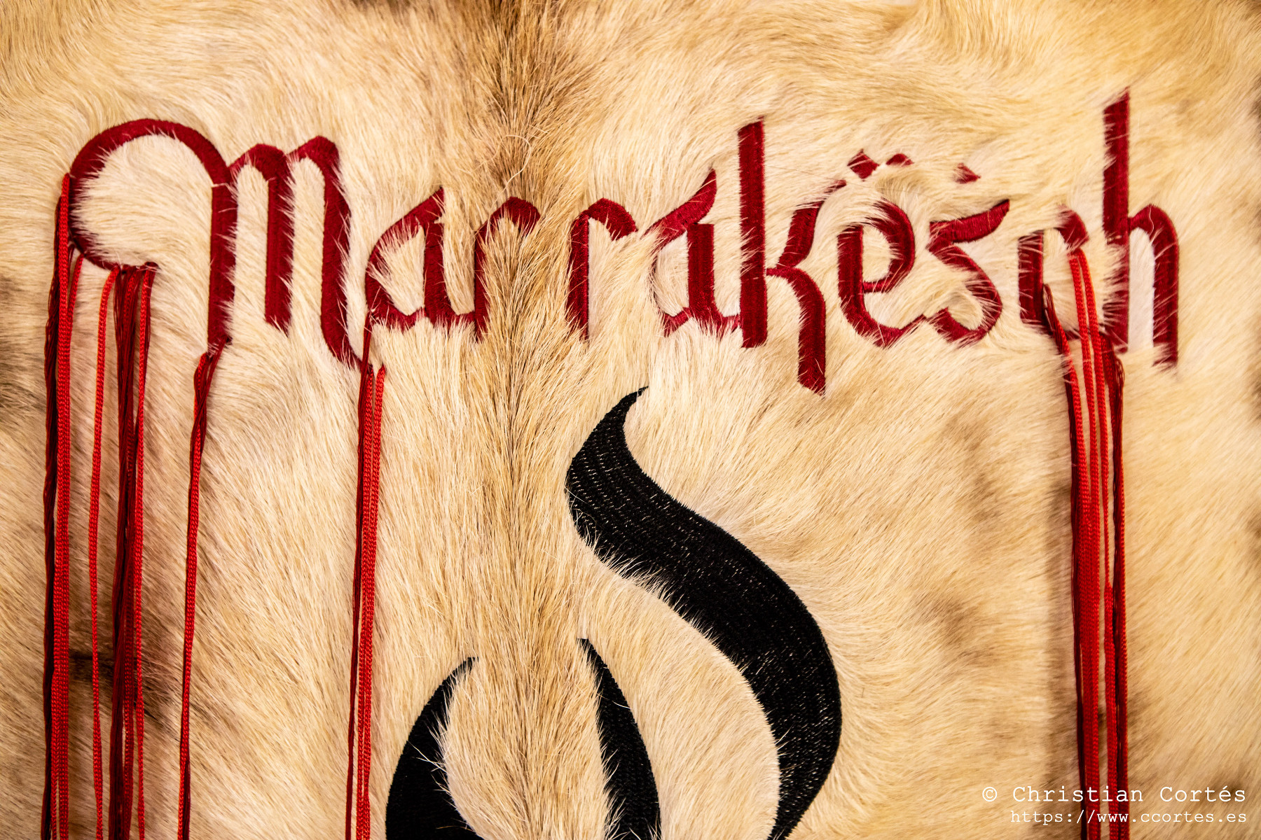 20240622 HeraldicaMarrakesch Presentacio 37