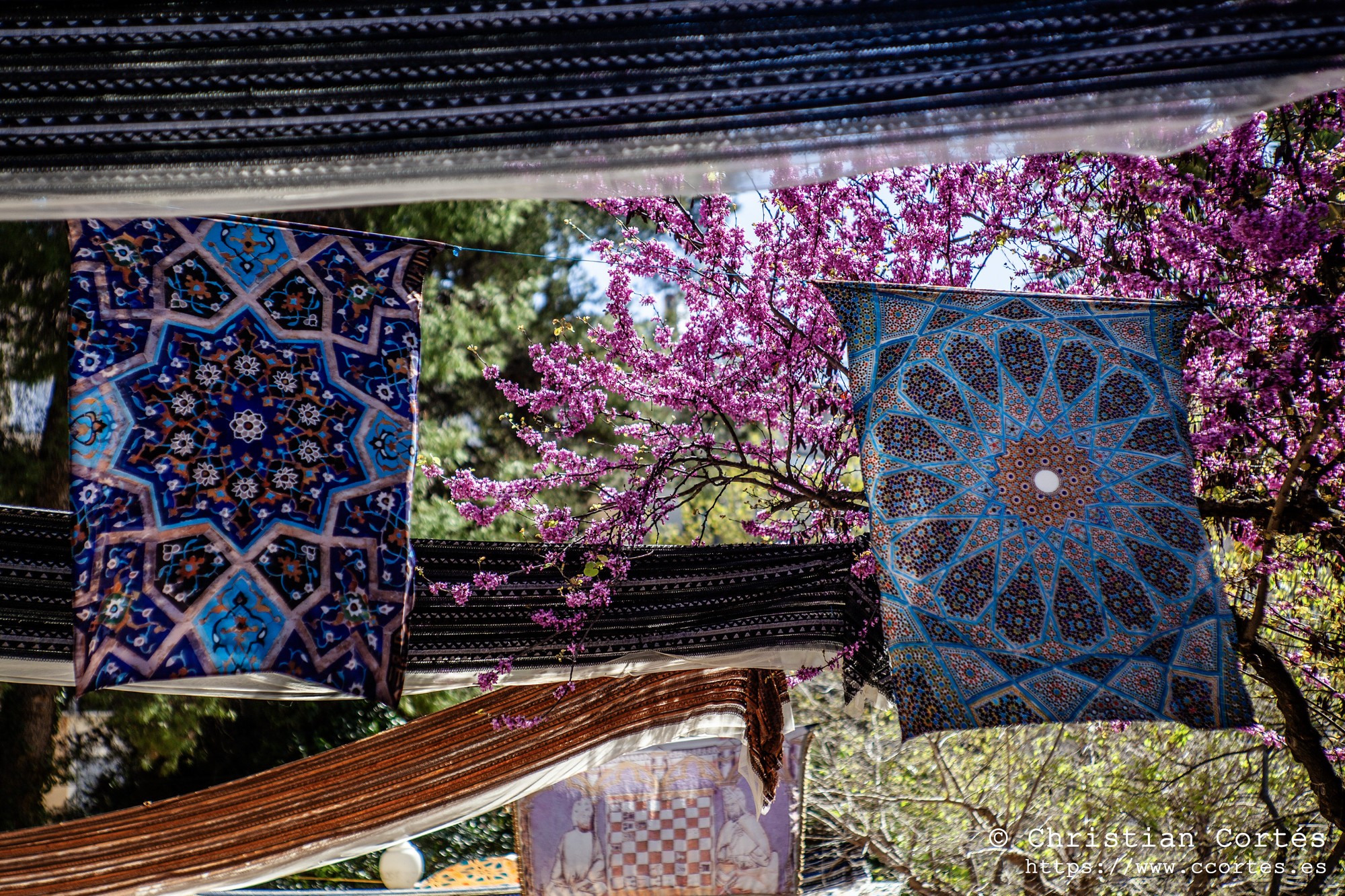 20250404 ZocoArabeMarrakeschAlcoi Jupiter9 85mm 14