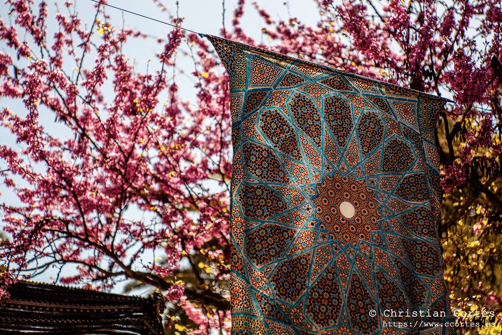 20250404 ZocoArabeMarrakeschAlcoi Jupiter9 85mm 15