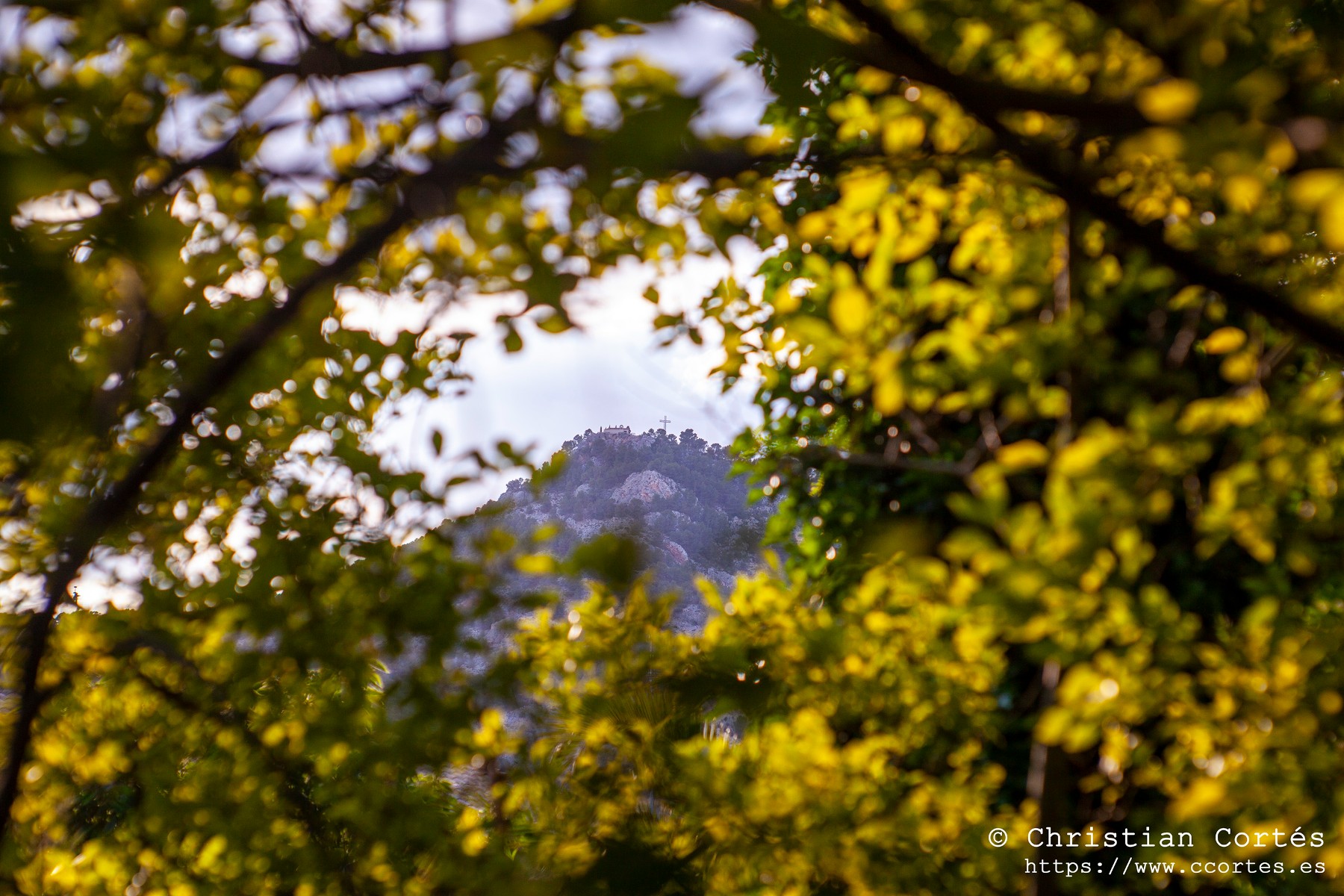 20240518 Alcoi Jupiter9 85mm 19 WEB