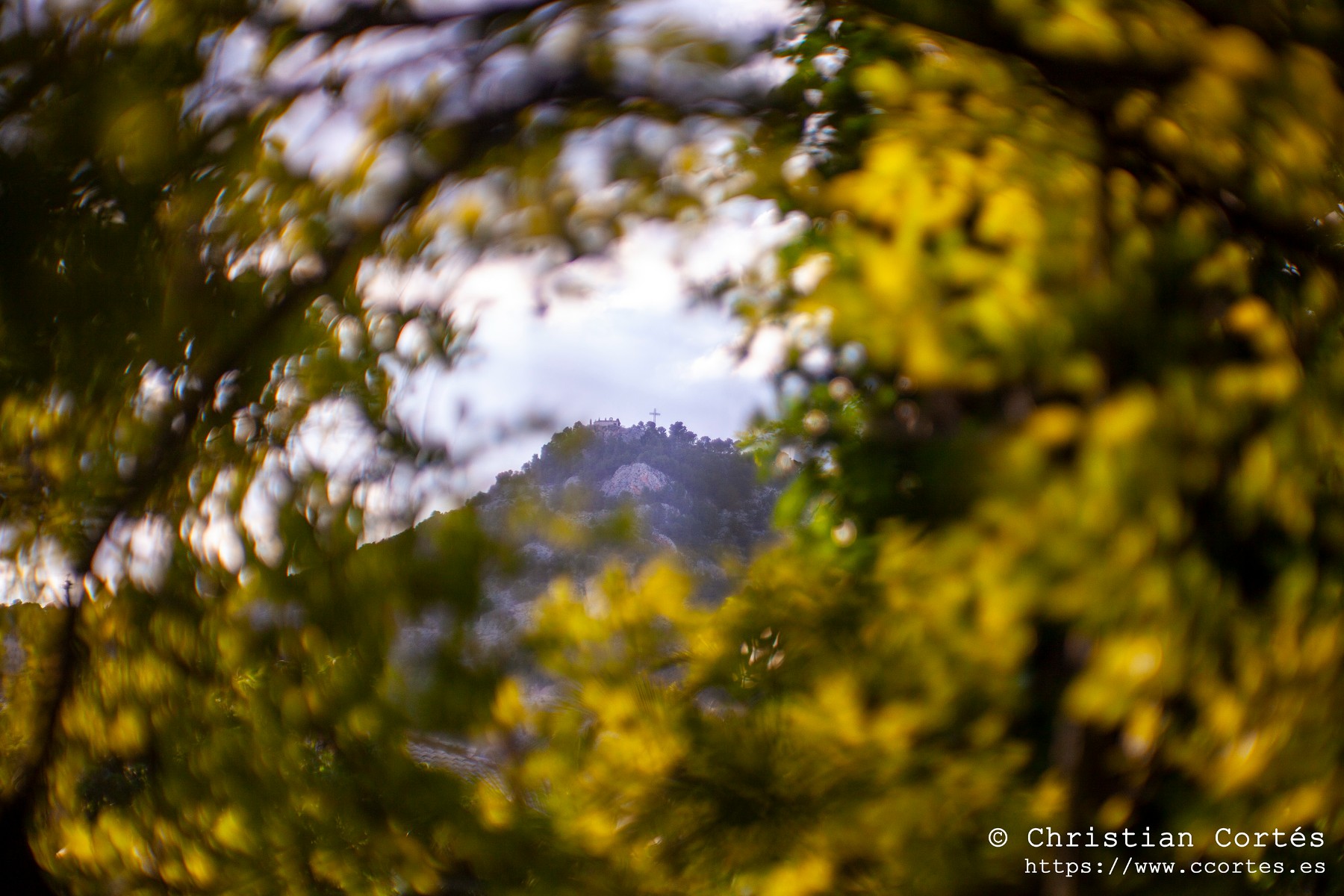 20240518 Alcoi Jupiter9 85mm 20 WEB