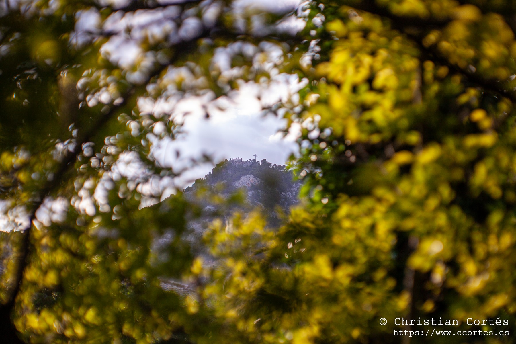 20240518 Alcoi Jupiter9 85mm 22 WEB