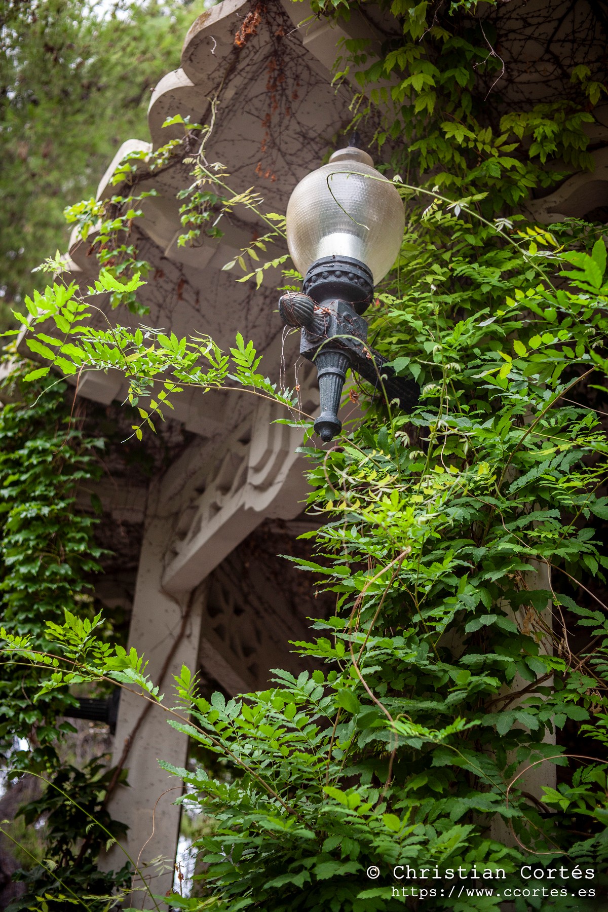 20240830 Alcoi Sears55mm f1.4 11