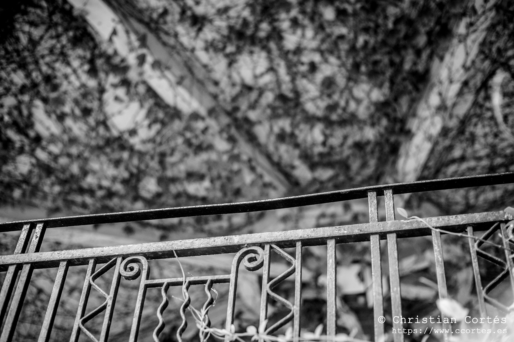 20240830 Alcoi Sears55mm f1.4 12