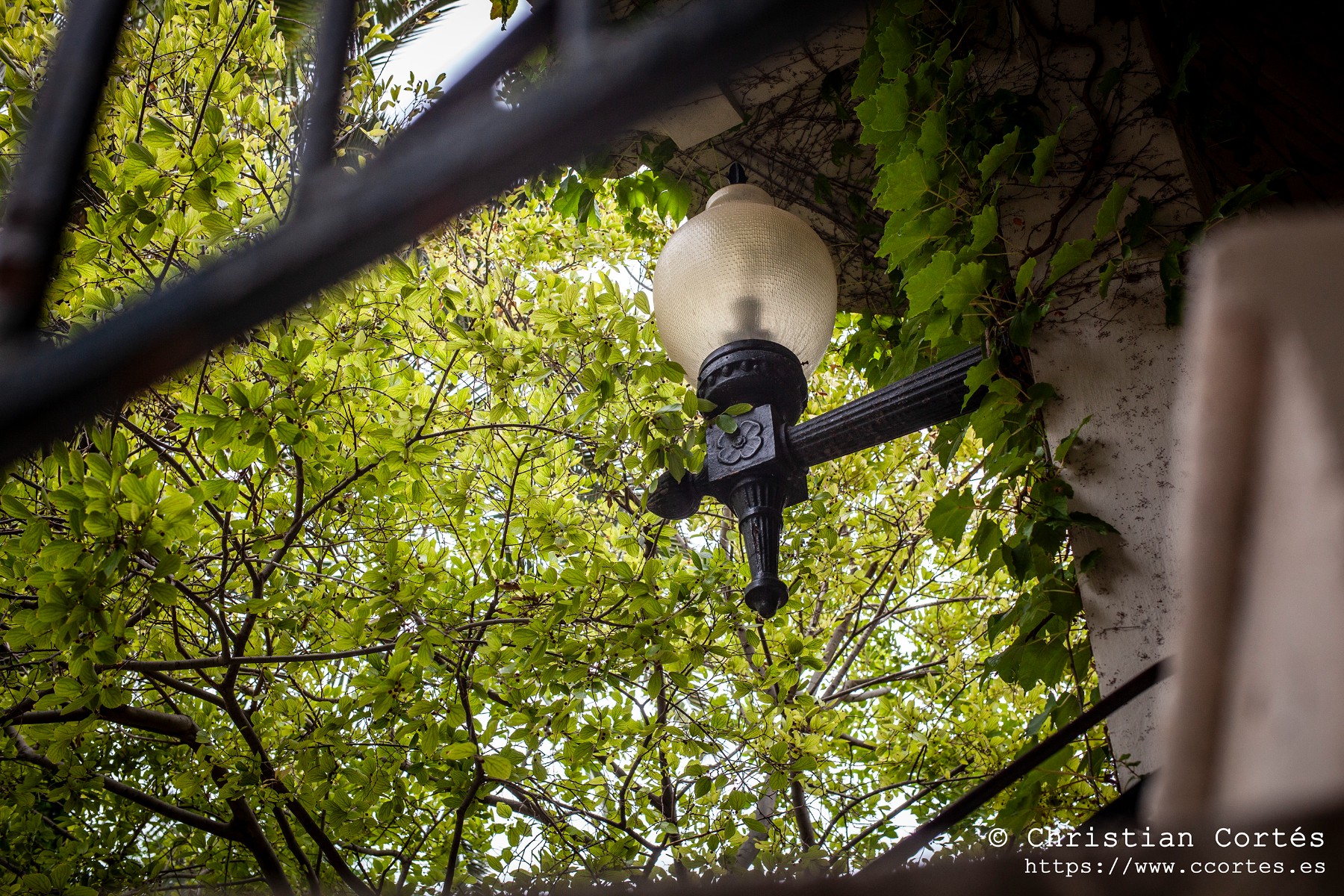 20240830 Alcoi Sears55mm f1.4 13