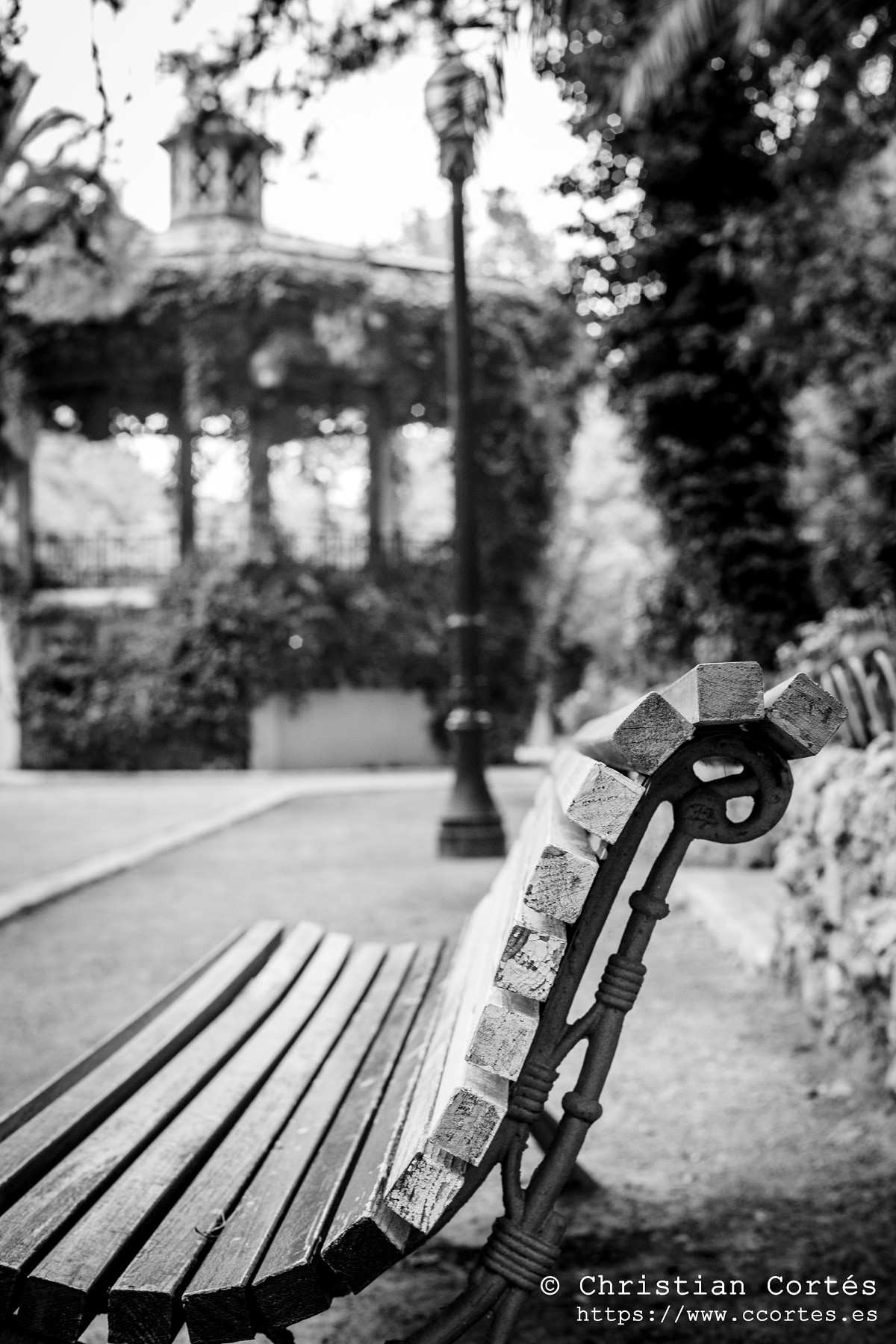 20240830 Alcoi Sears55mm f1.4 19
