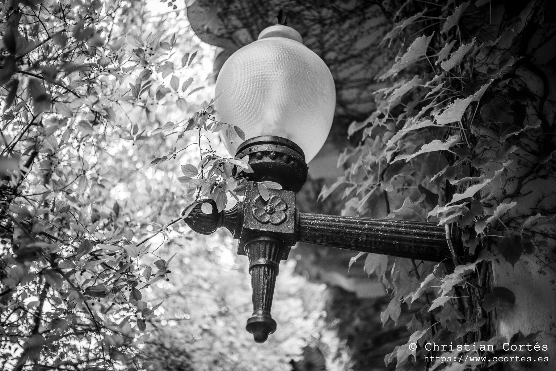 20240830 Alcoi Sears55mm f1.4 21