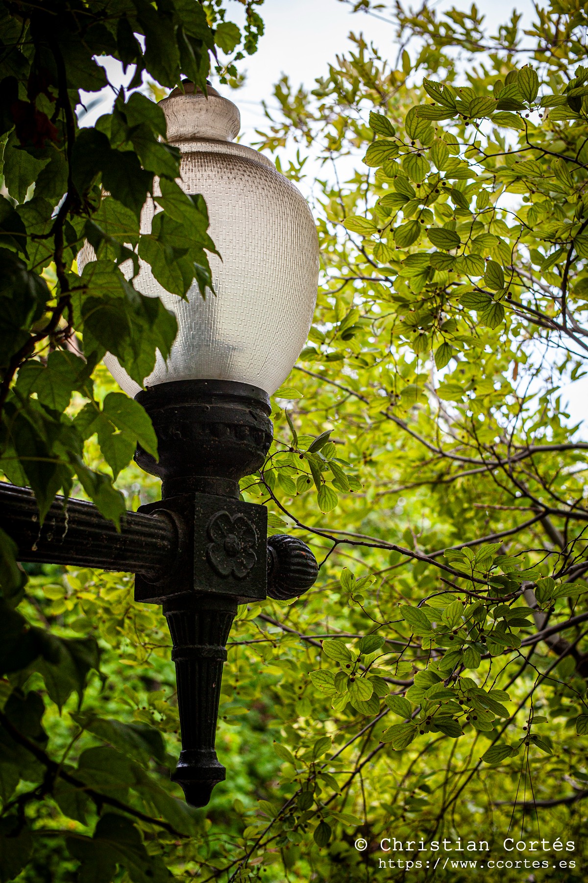20240830 Alcoi Sears55mm f1.4 25