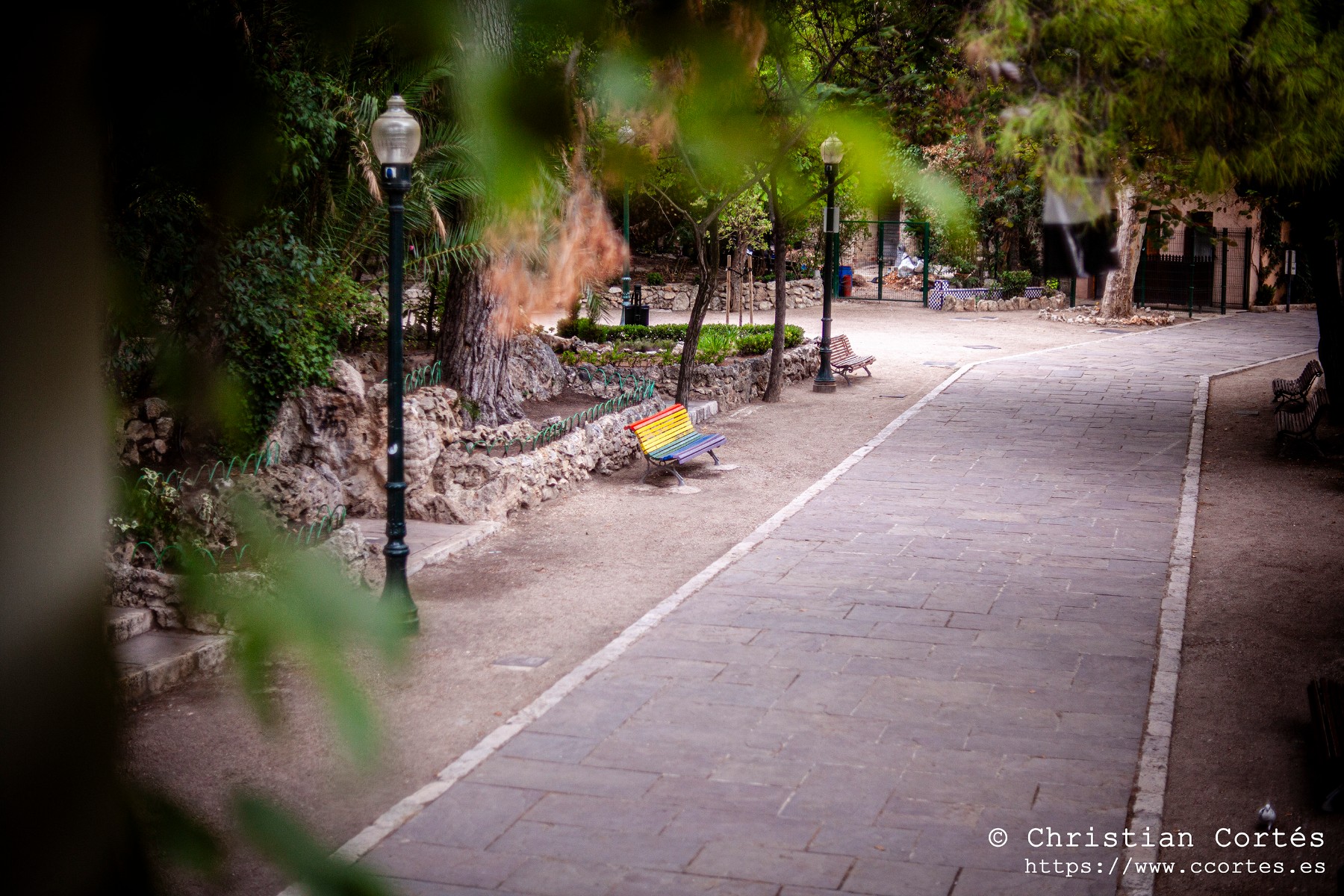 20240830 Alcoi Sears55mm f1.4 26