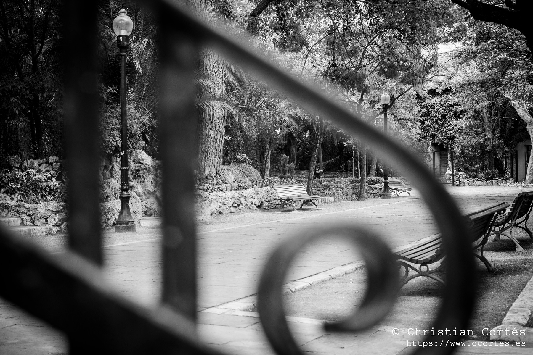 20240830 Alcoi Sears55mm f1.4 28