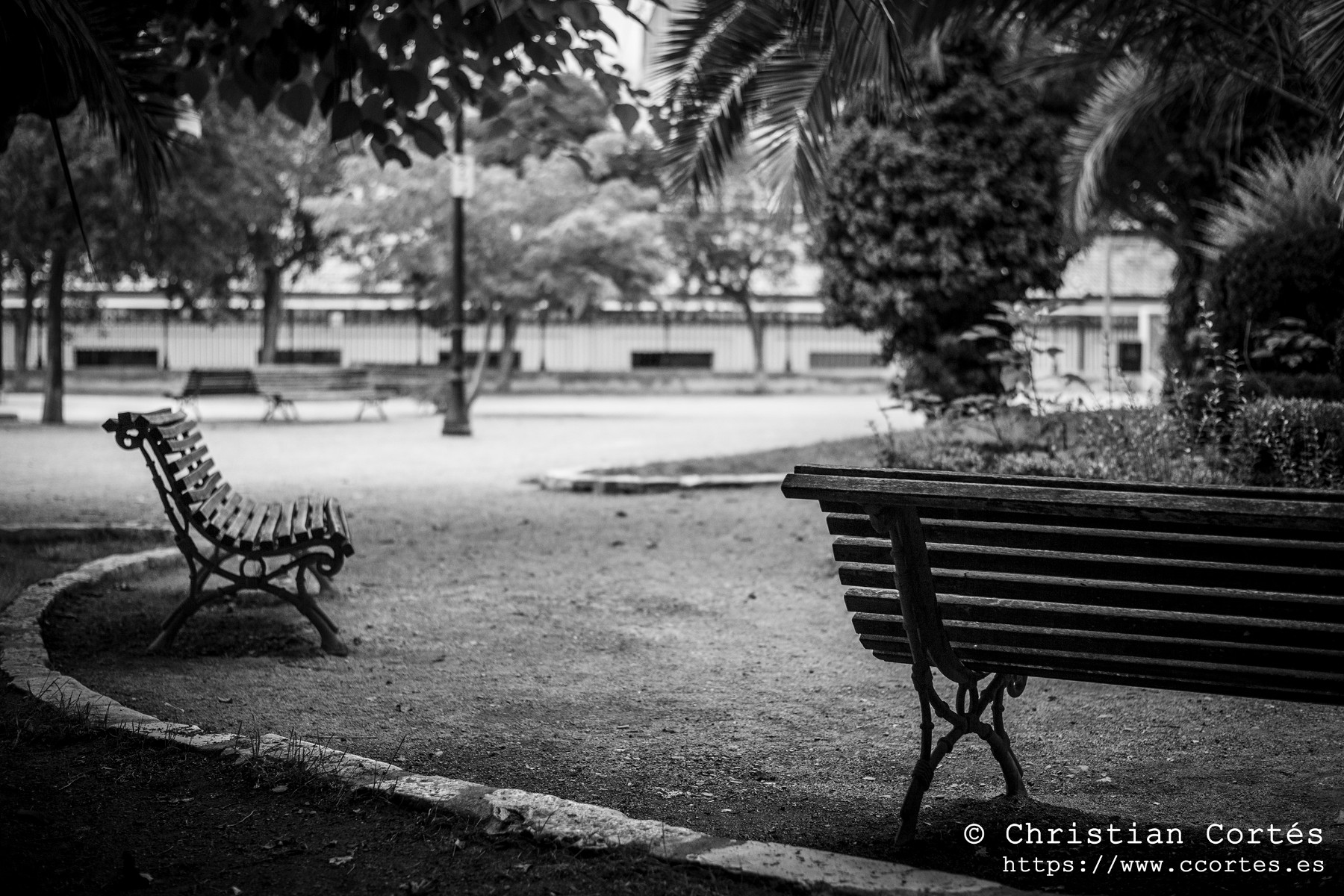 20240830 Alcoi Sears55mm f1.4 29