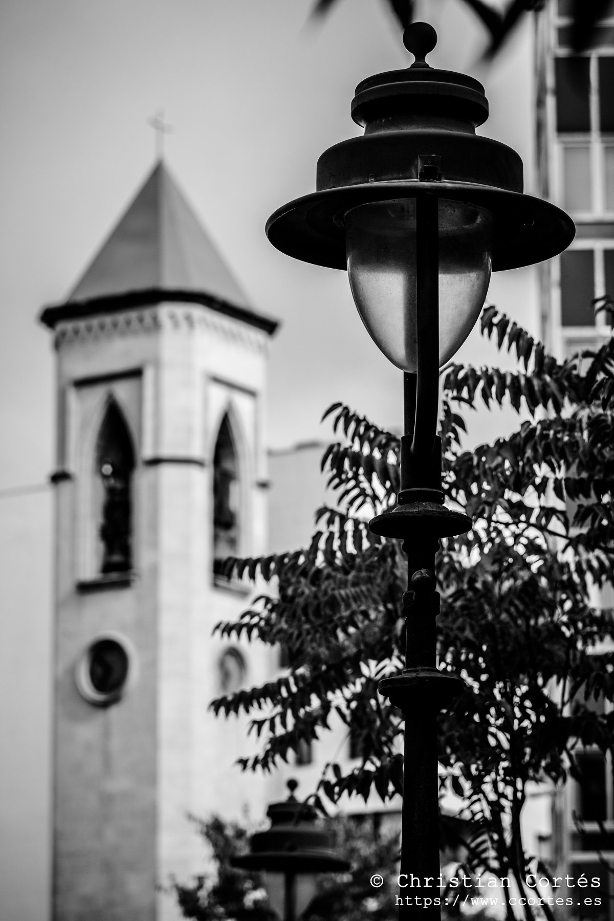 20241027 Alcoi Chinon 135mm f2.8 03