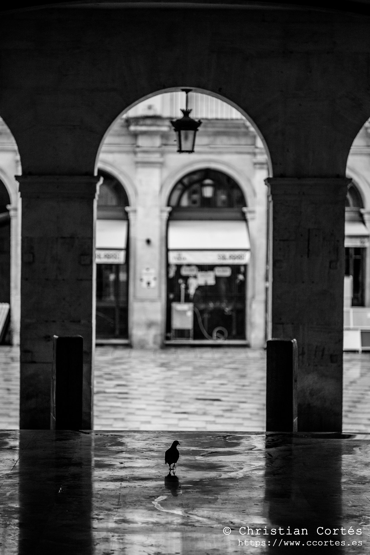 20241027 Alcoi Chinon 135mm f2.8 10