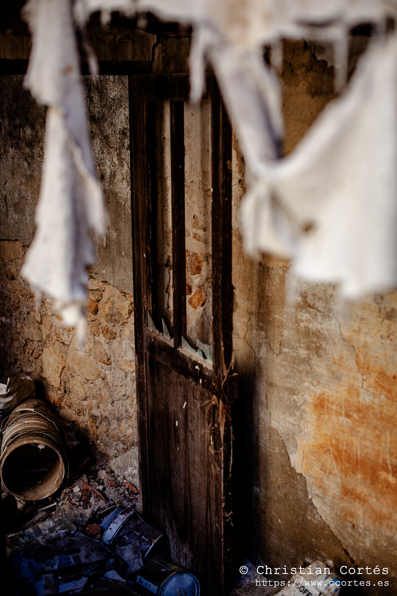 20250215 Yashinon50mm F1.4 12
