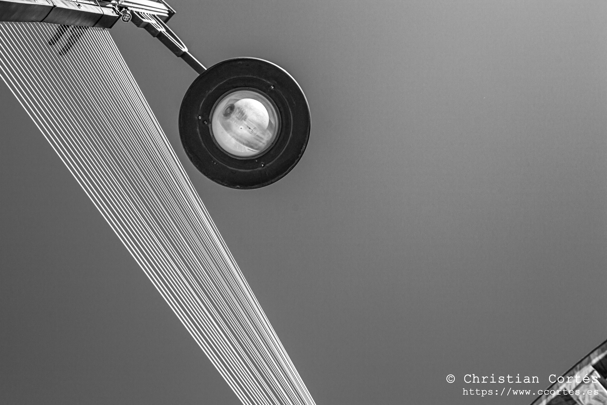 20250215 Yashinon50mm F1.4 19