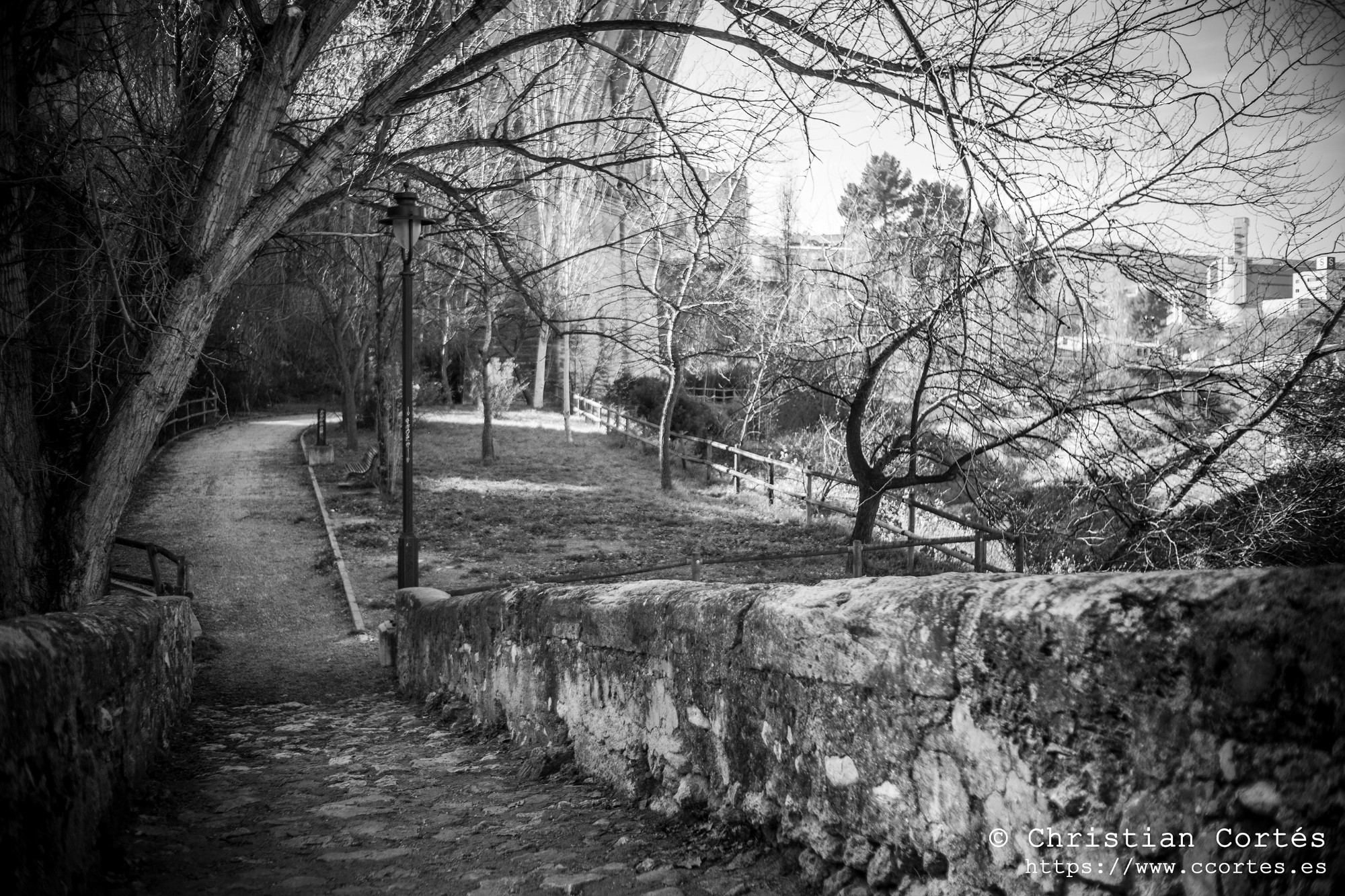 20250215 Zeniton35mm F2.8 01