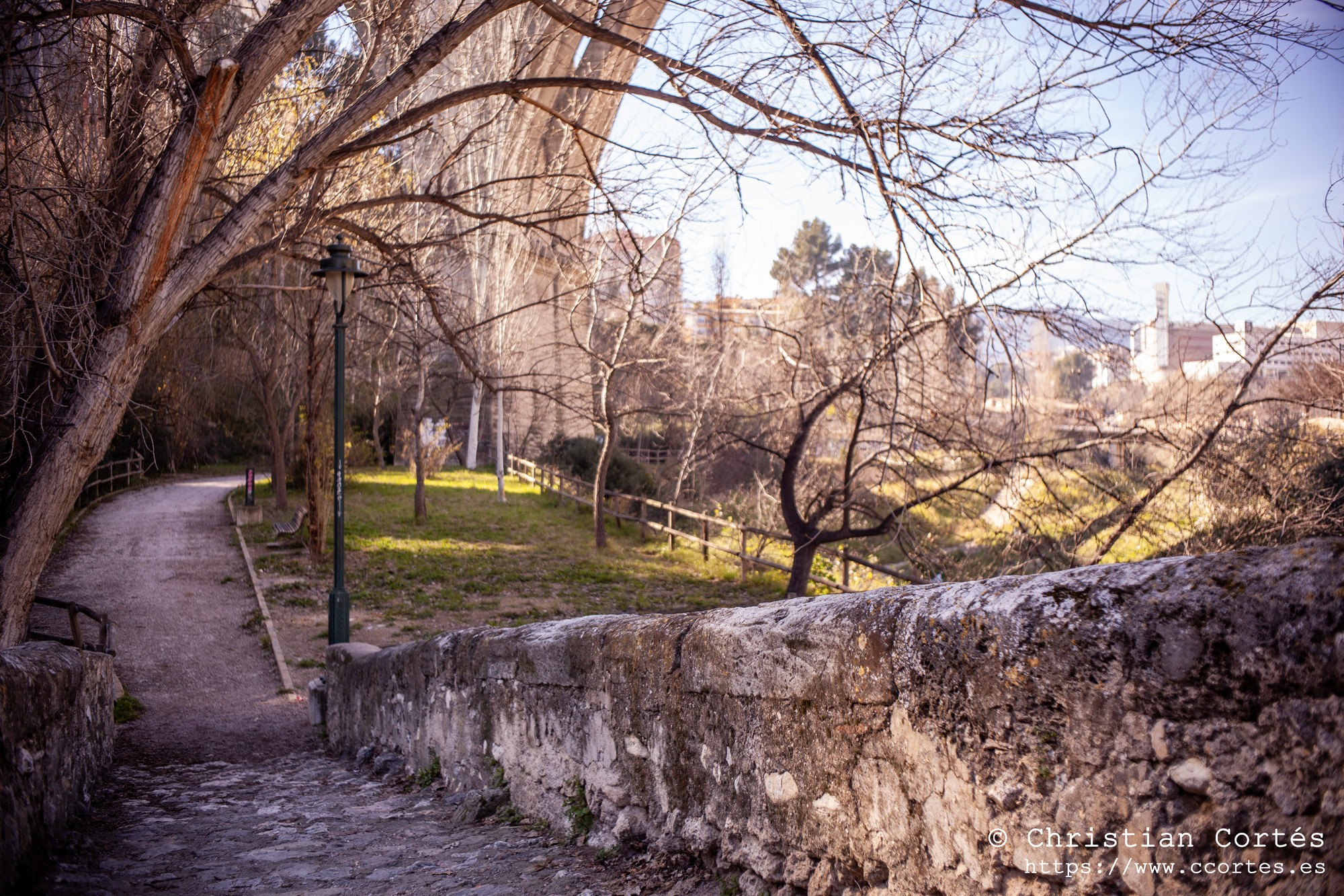 20250215 Zeniton35mm F2.8 02