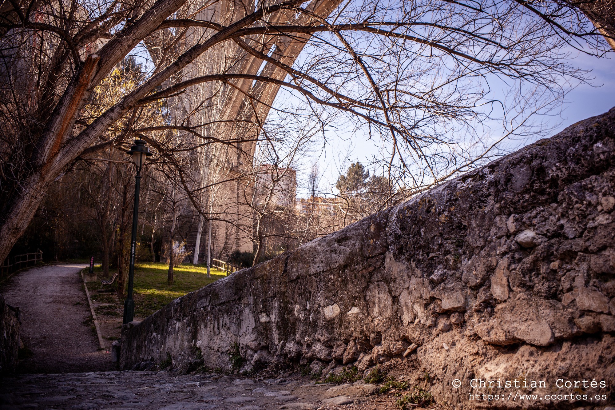 20250215 Zeniton35mm F2.8 03