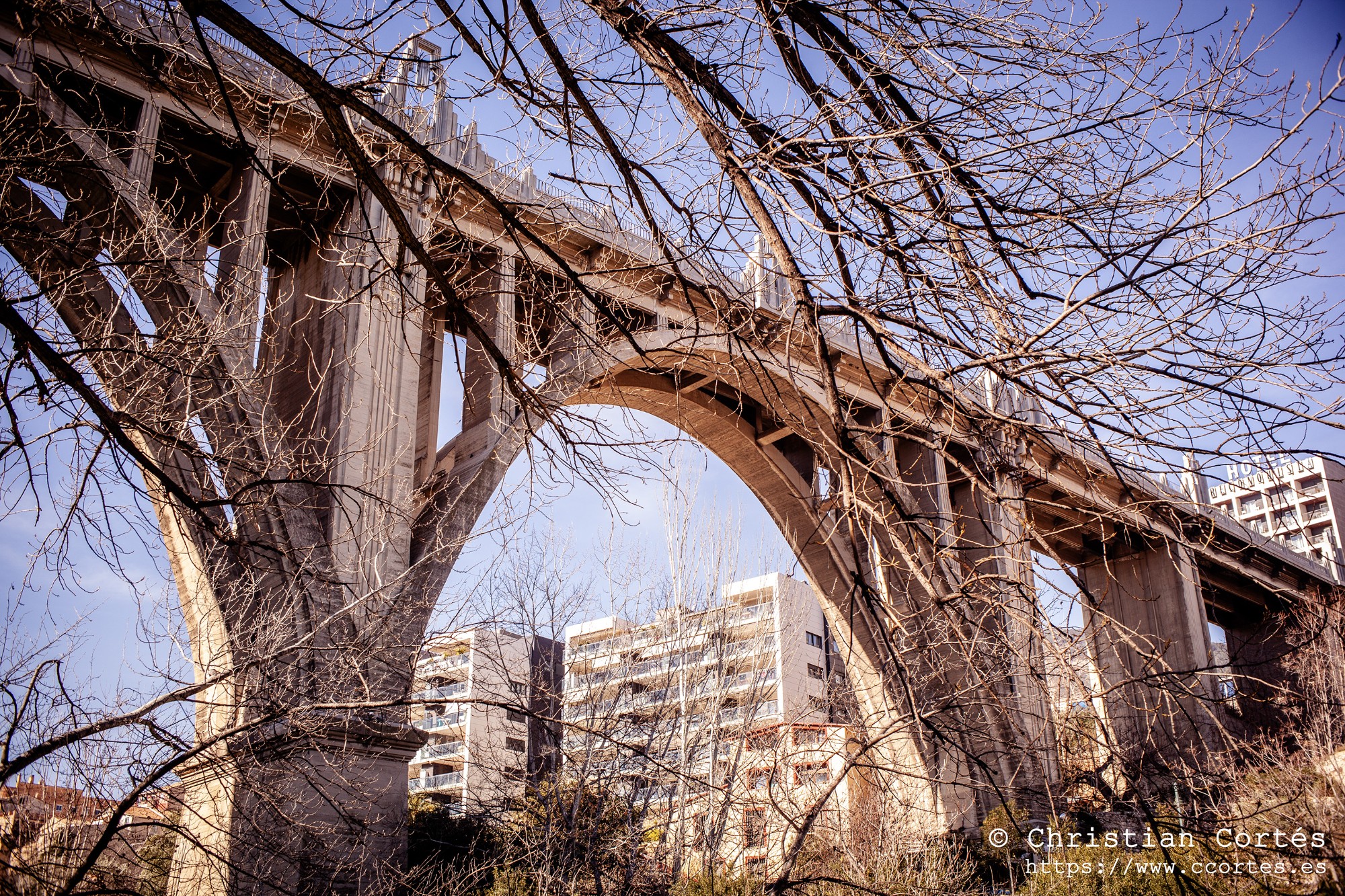 20250215 Zeniton35mm F2.8 04