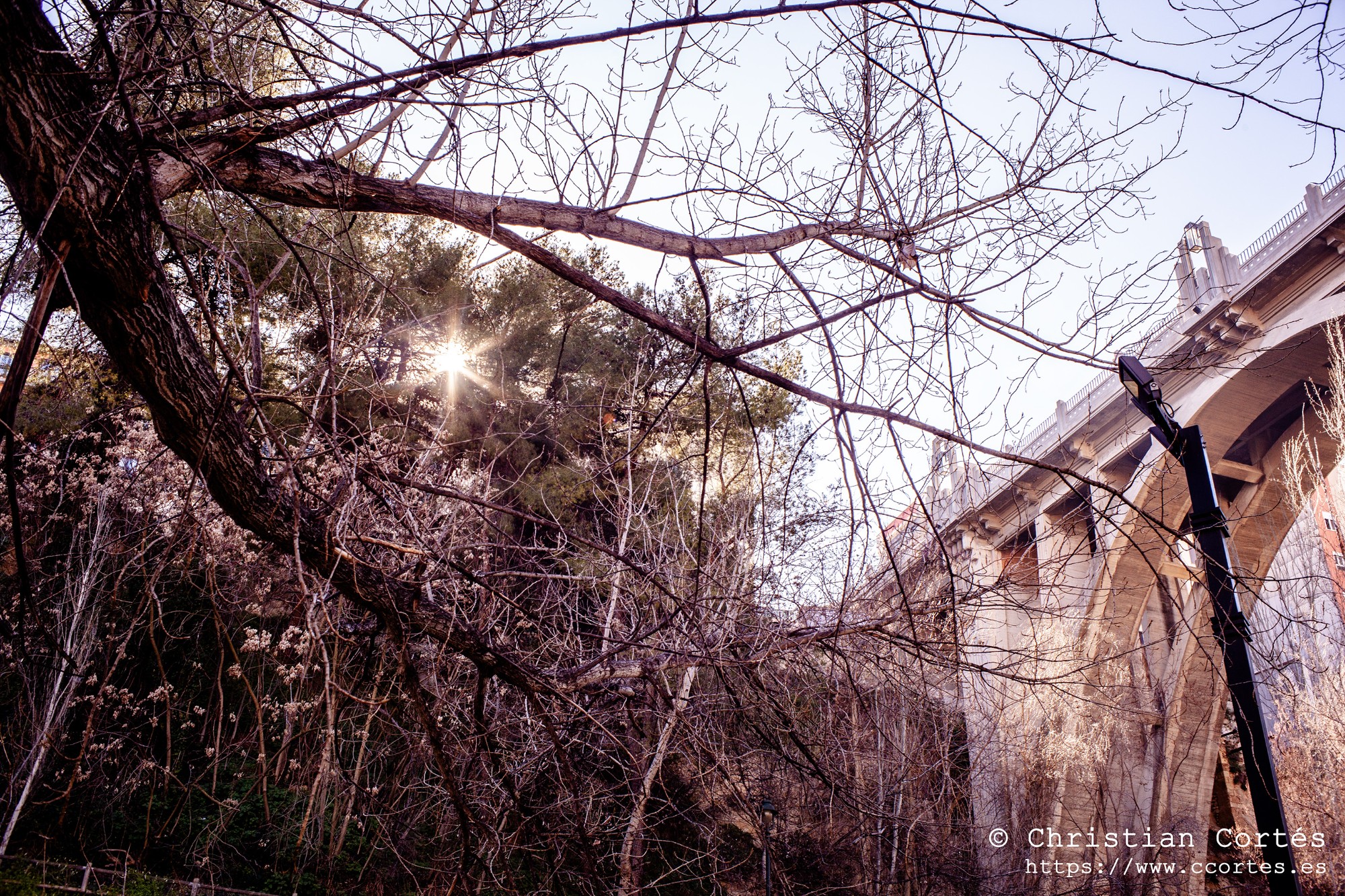20250215 Zeniton35mm F2.8 05