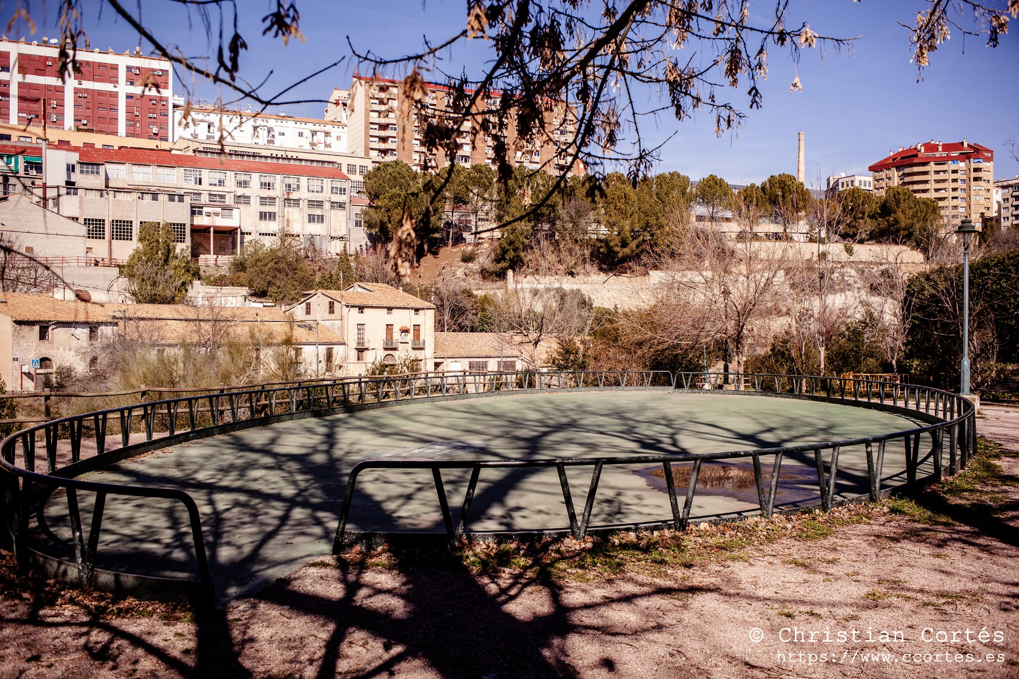 20250215 Zeniton35mm F2.8 07