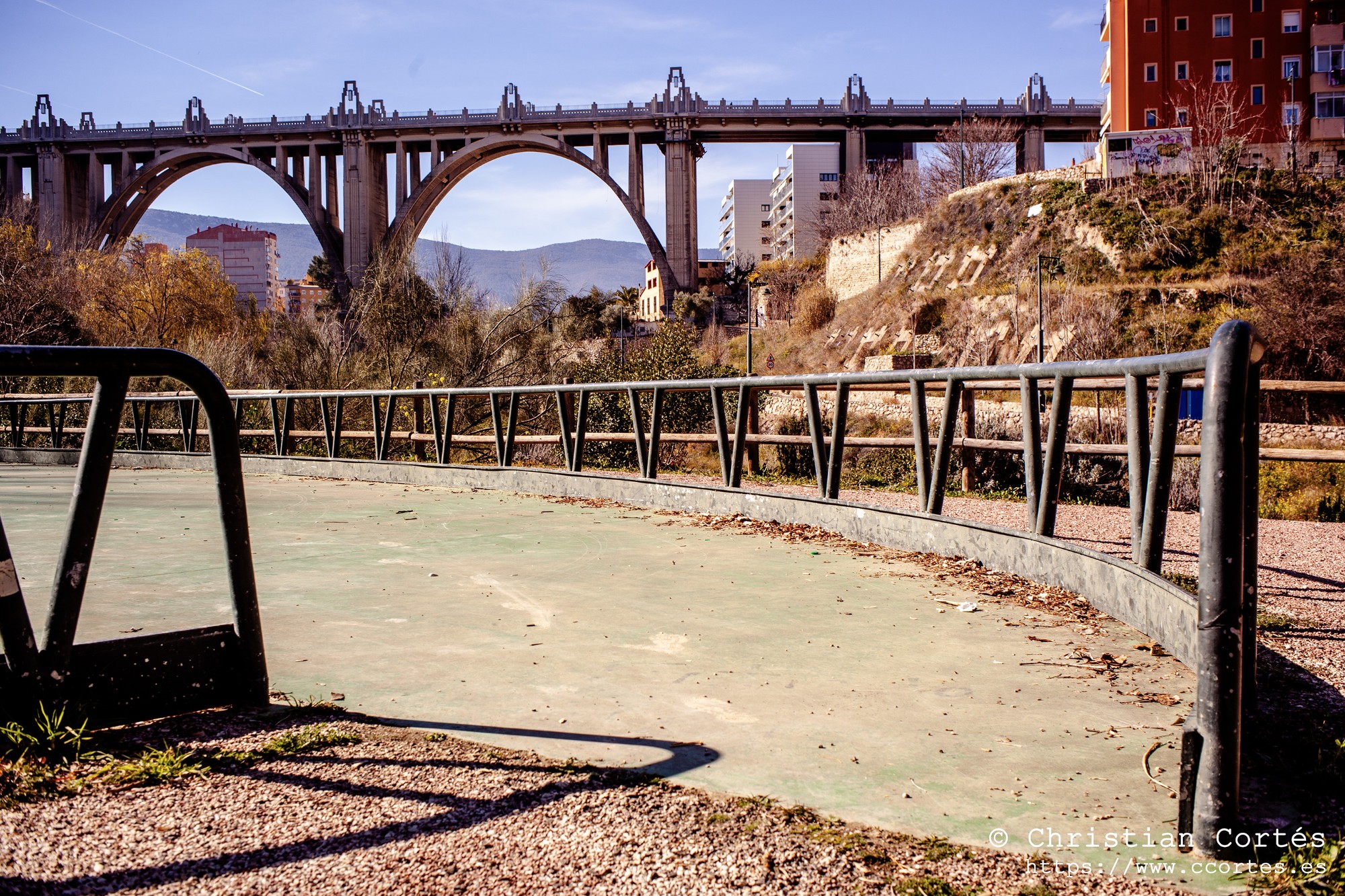 20250215 Zeniton35mm F2.8 08