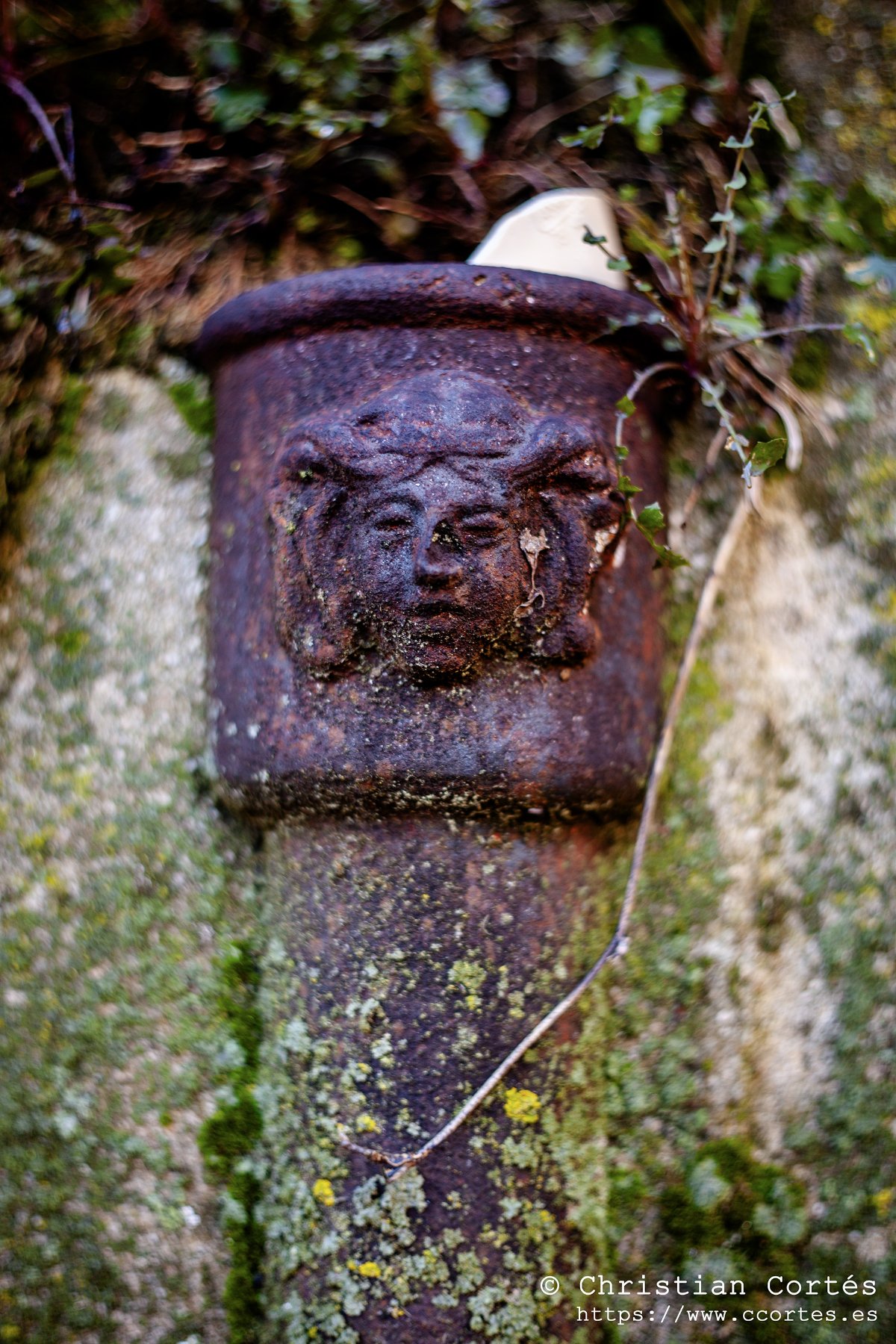 20250315 Helios 77M 4 50mm 10