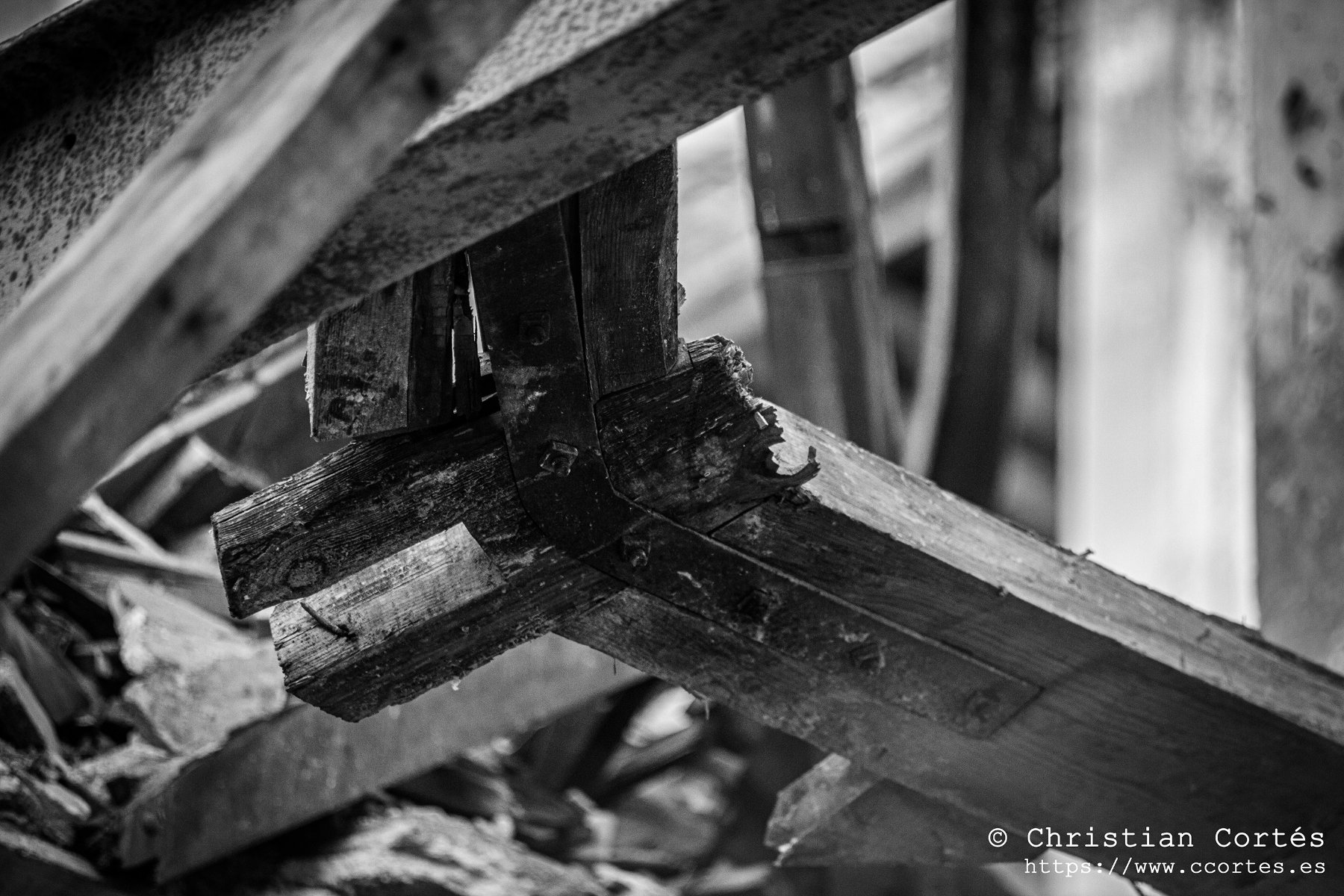 20250315 Sesnon 200mm 06