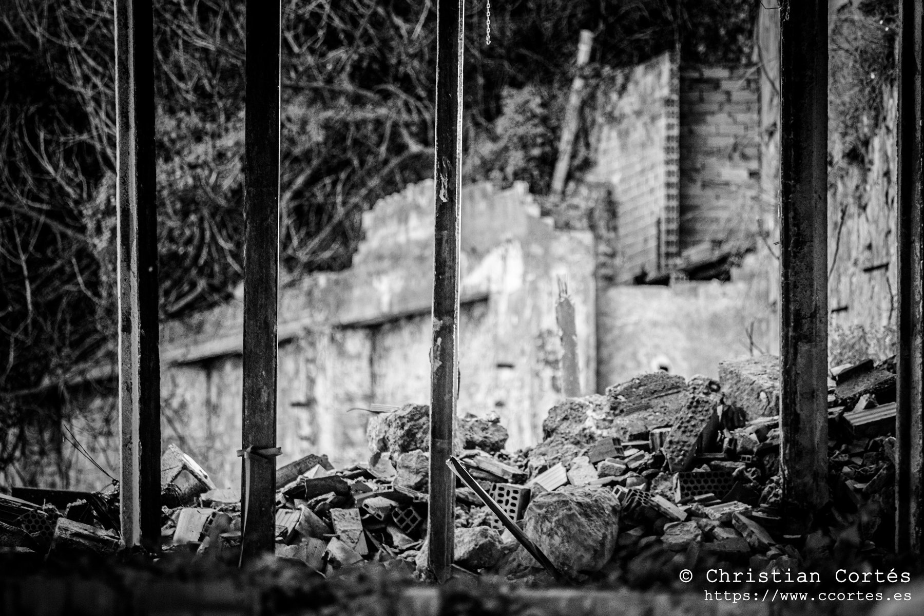 20250315 Sesnon 200mm 07