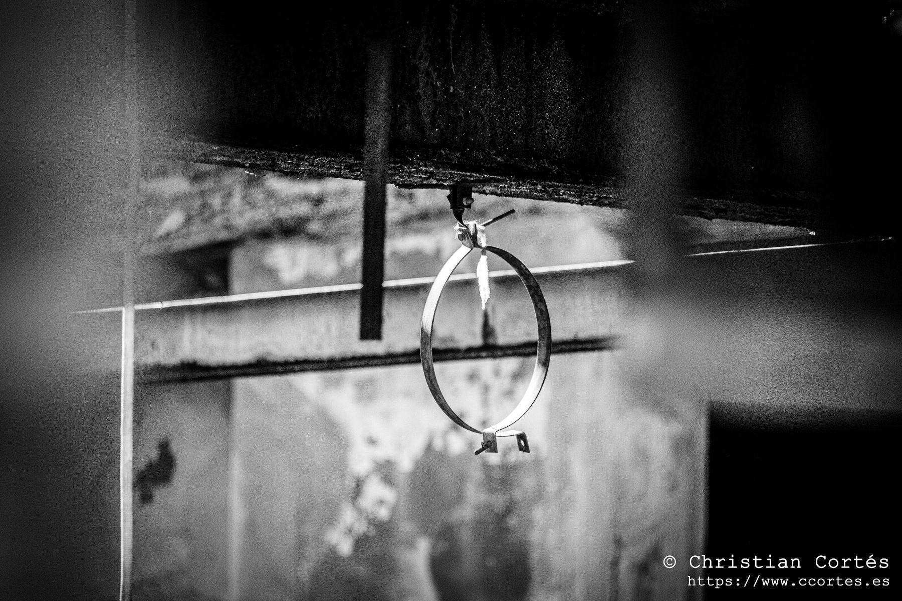 20250315 Sesnon 200mm 11