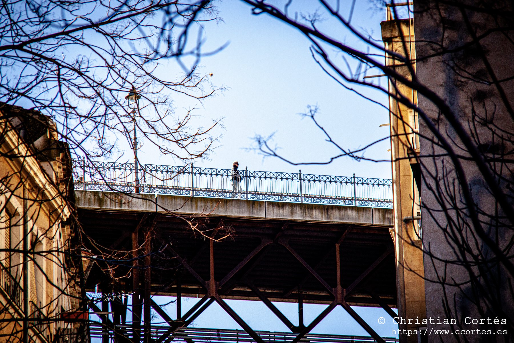 20250315 Sesnon 200mm 13