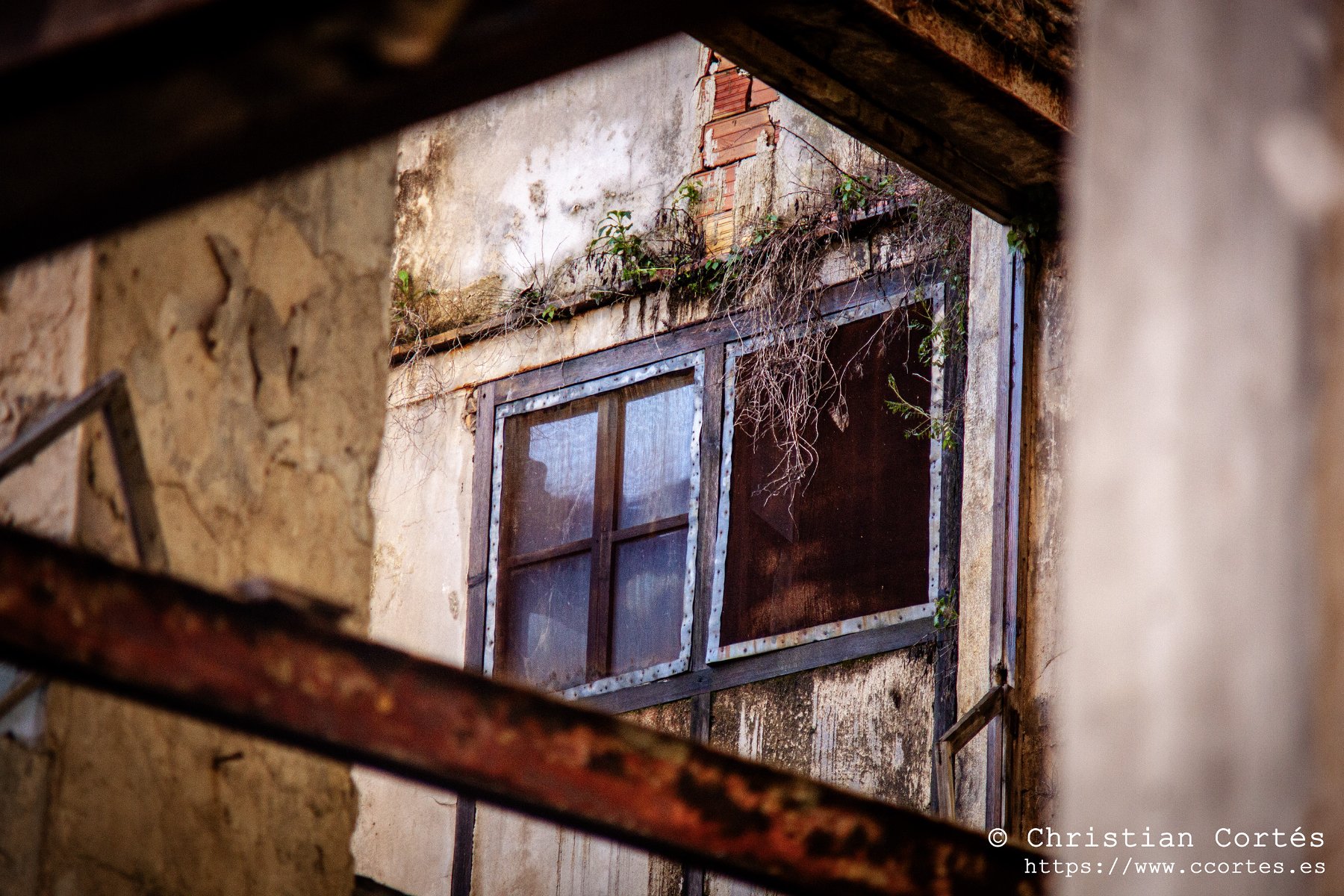 20250315 Sesnon 200mm 16