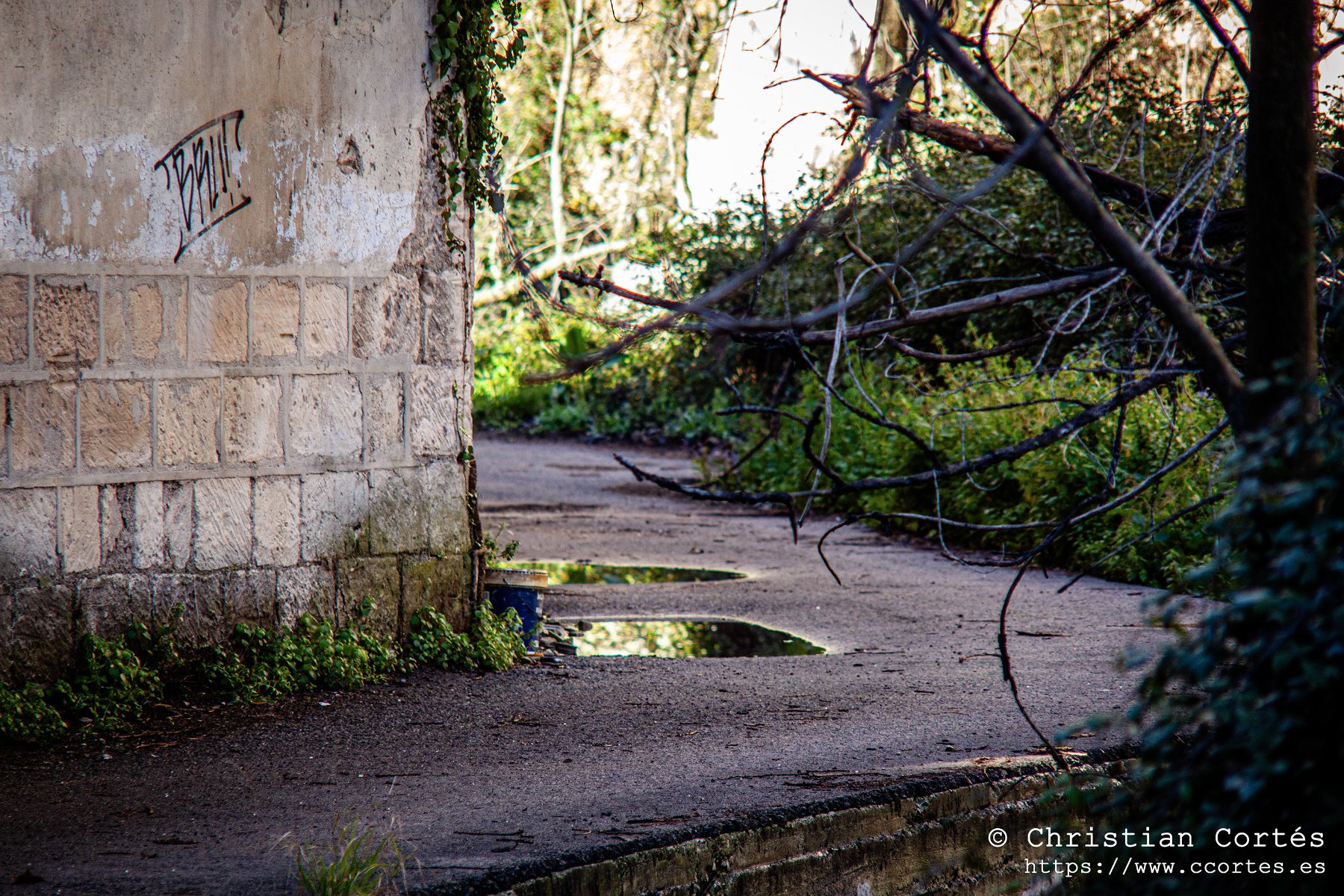 20250315 Sesnon 200mm 18