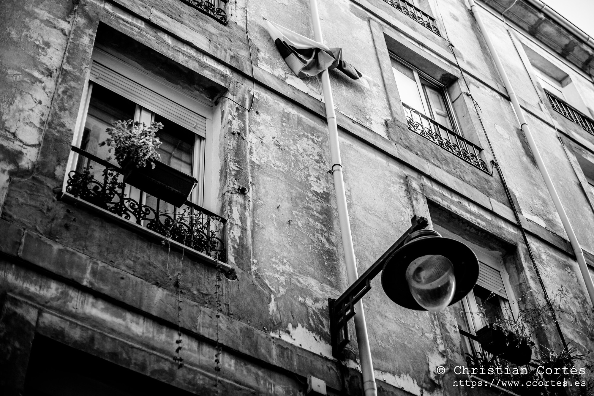 20250517 Alcoi MamiyaSekor 555mm F1 4 1
