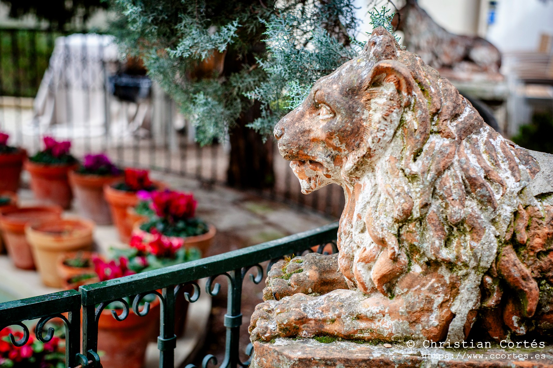 20260228 CirculoIndustrial MamiyaSekor55mm F1.8 06 WEB