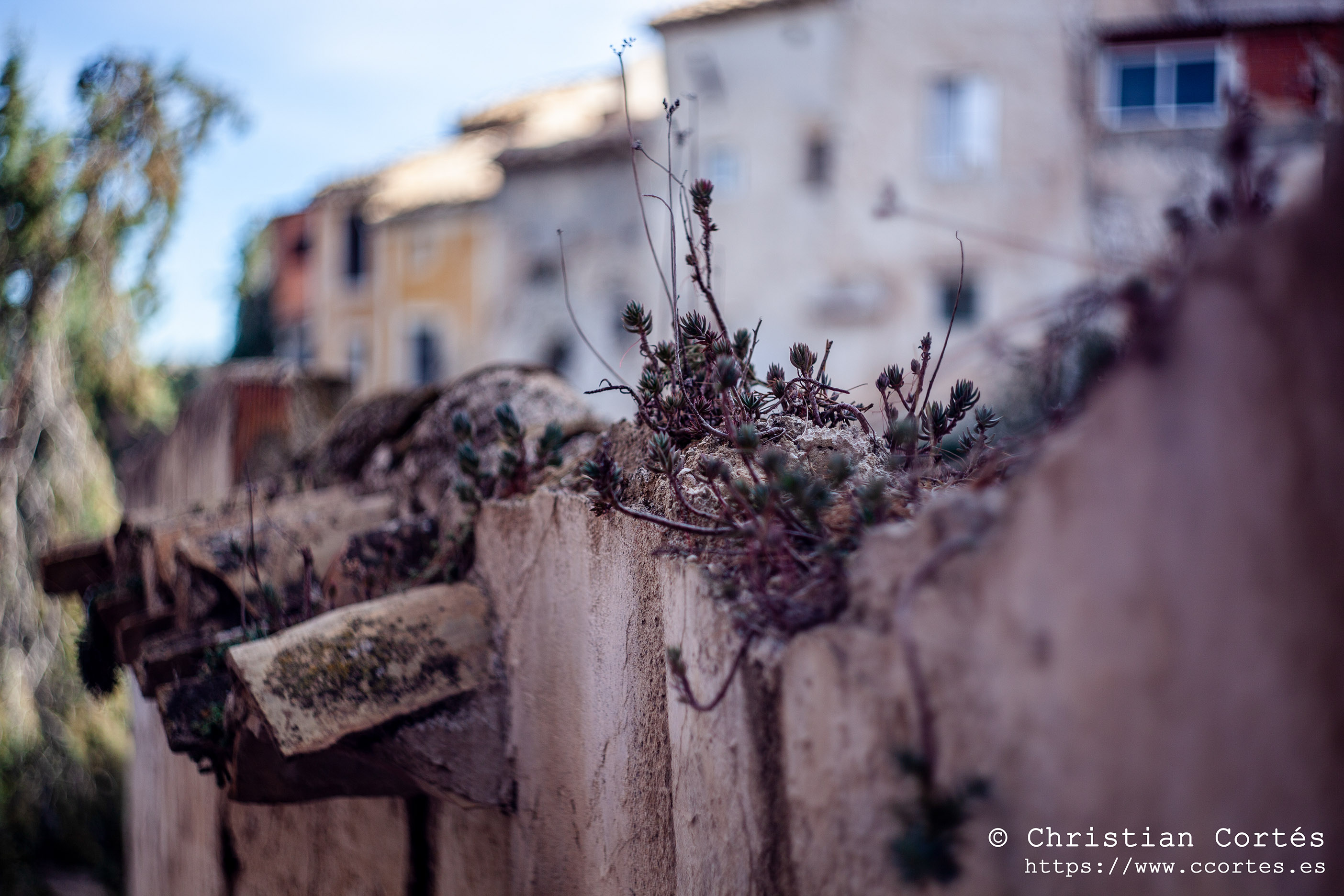 Cehegin Helios 44 2 30