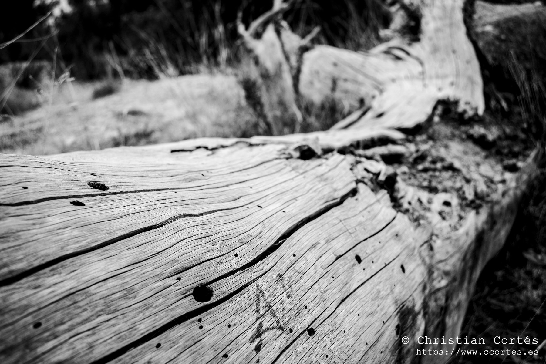 SuperTakumar 35mm 01
