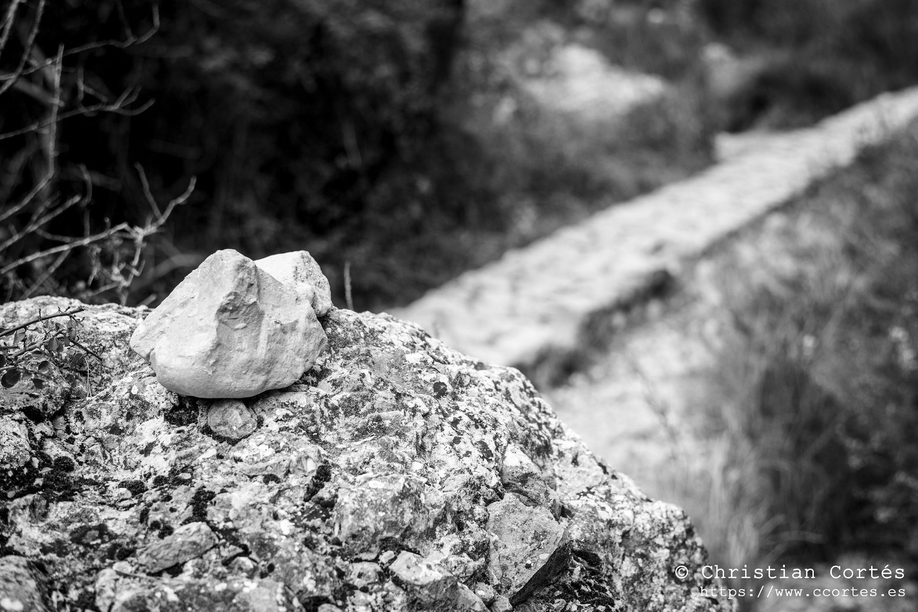 Cosinon 50mm 00018 BN