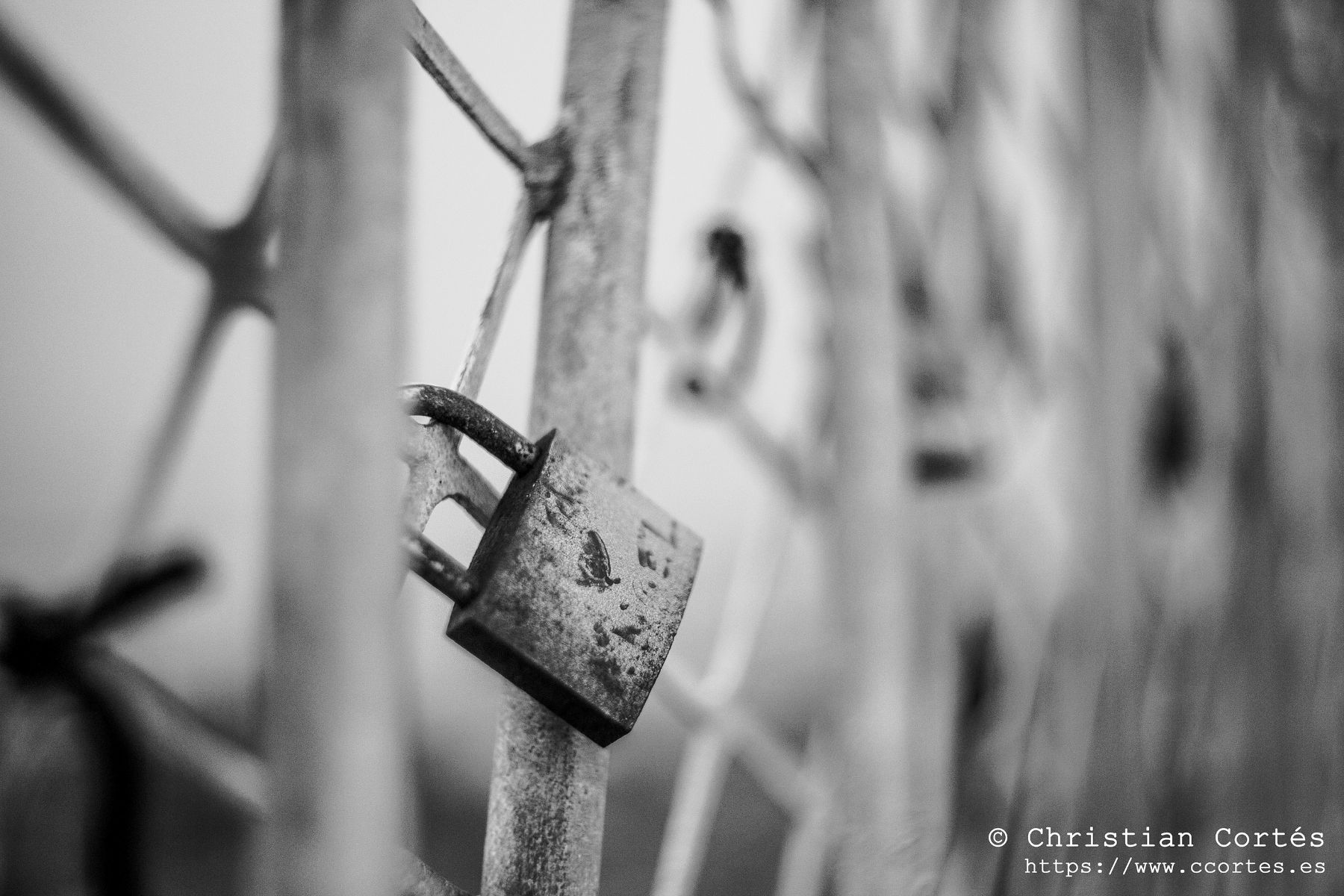 Helios44M 4 StaPola 02