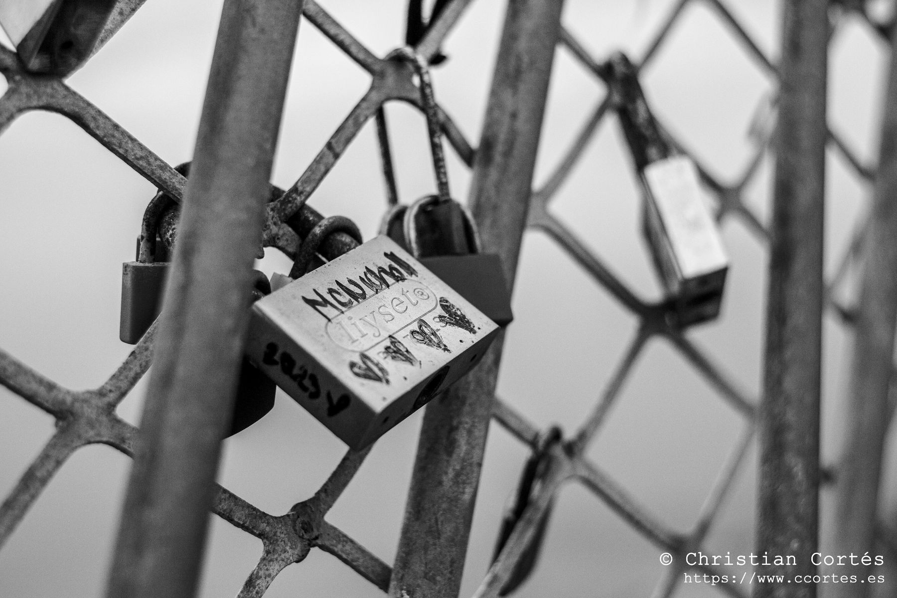 Helios44M 4 StaPola 03