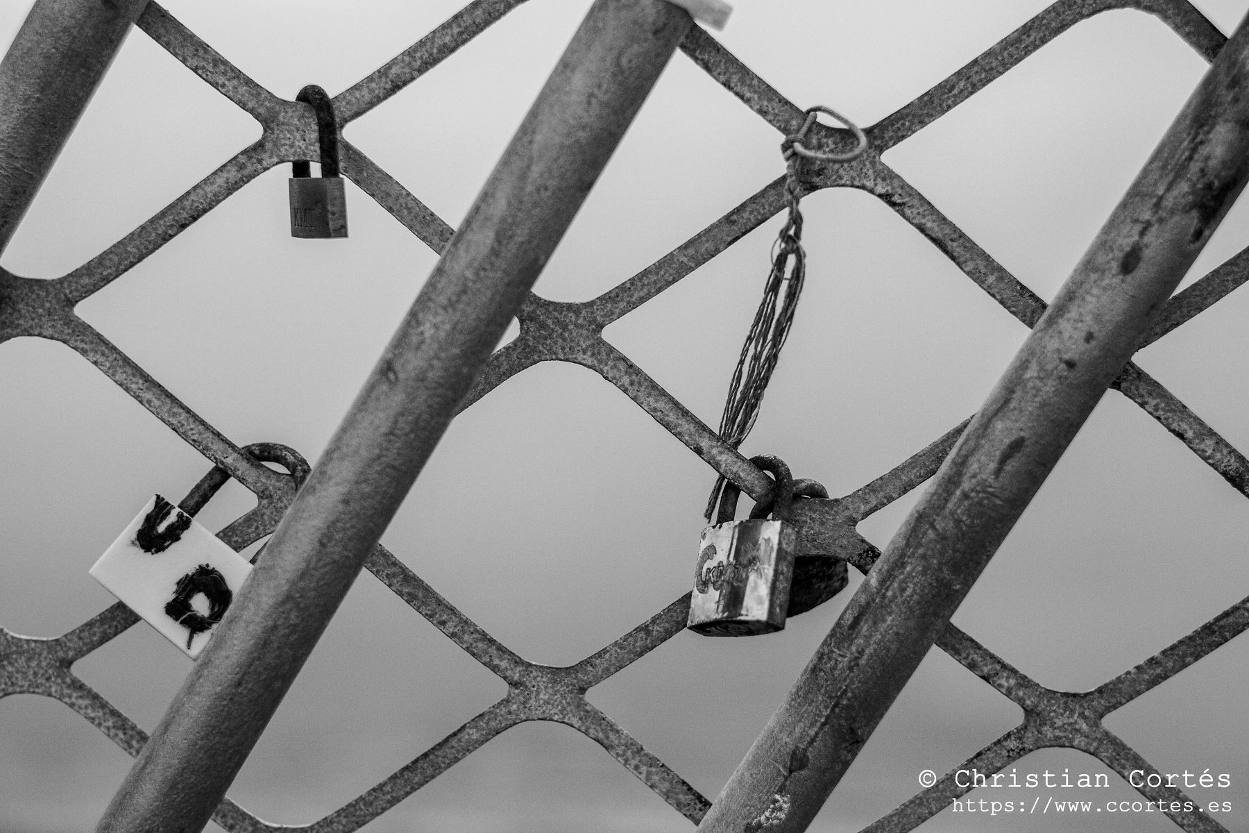 Helios44M 4 StaPola 04