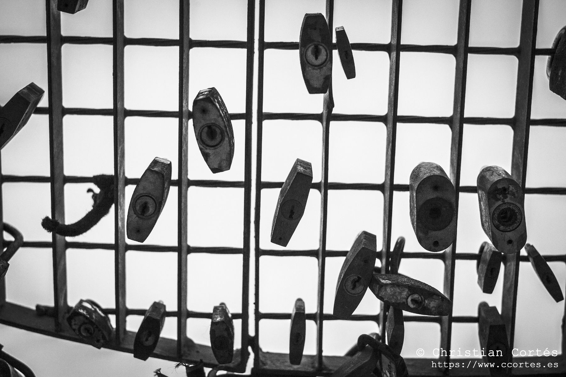 Helios44M 4 StaPola 07