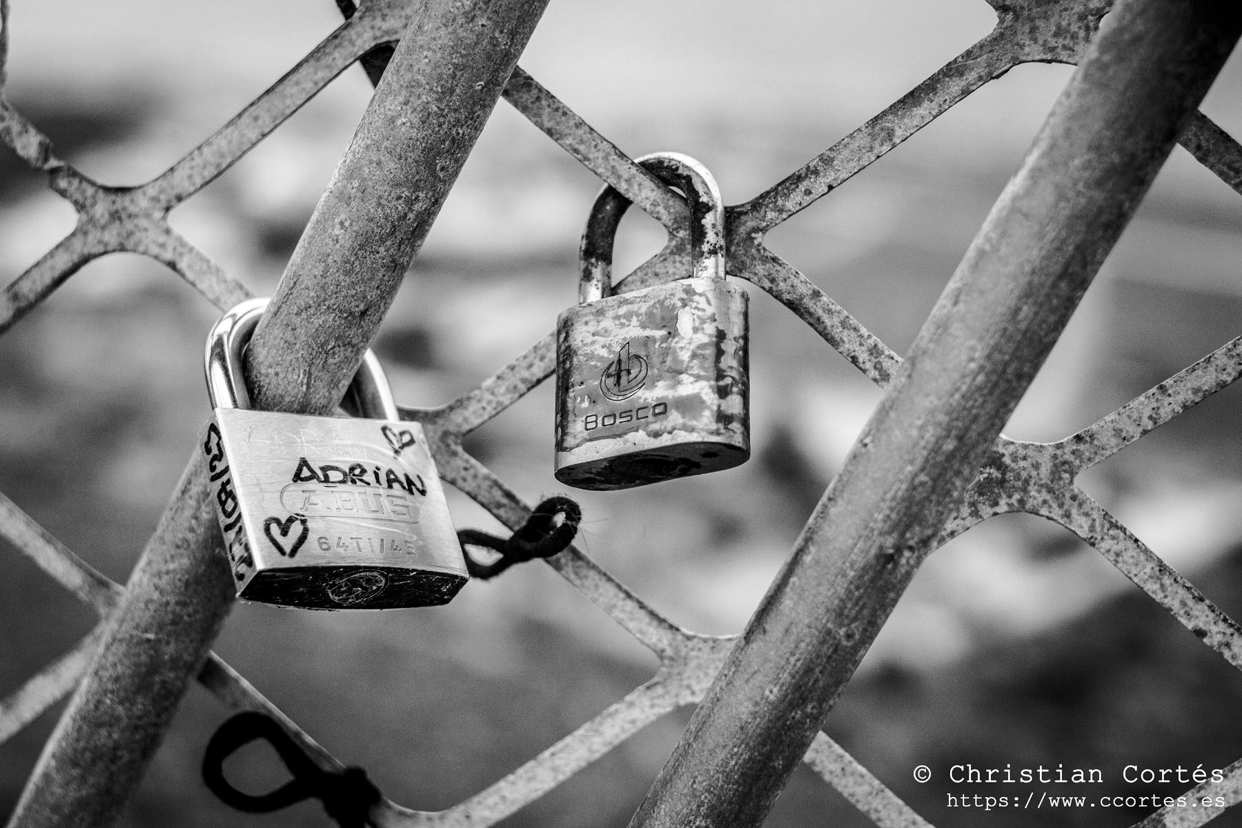 Helios44M 4 StaPola 10