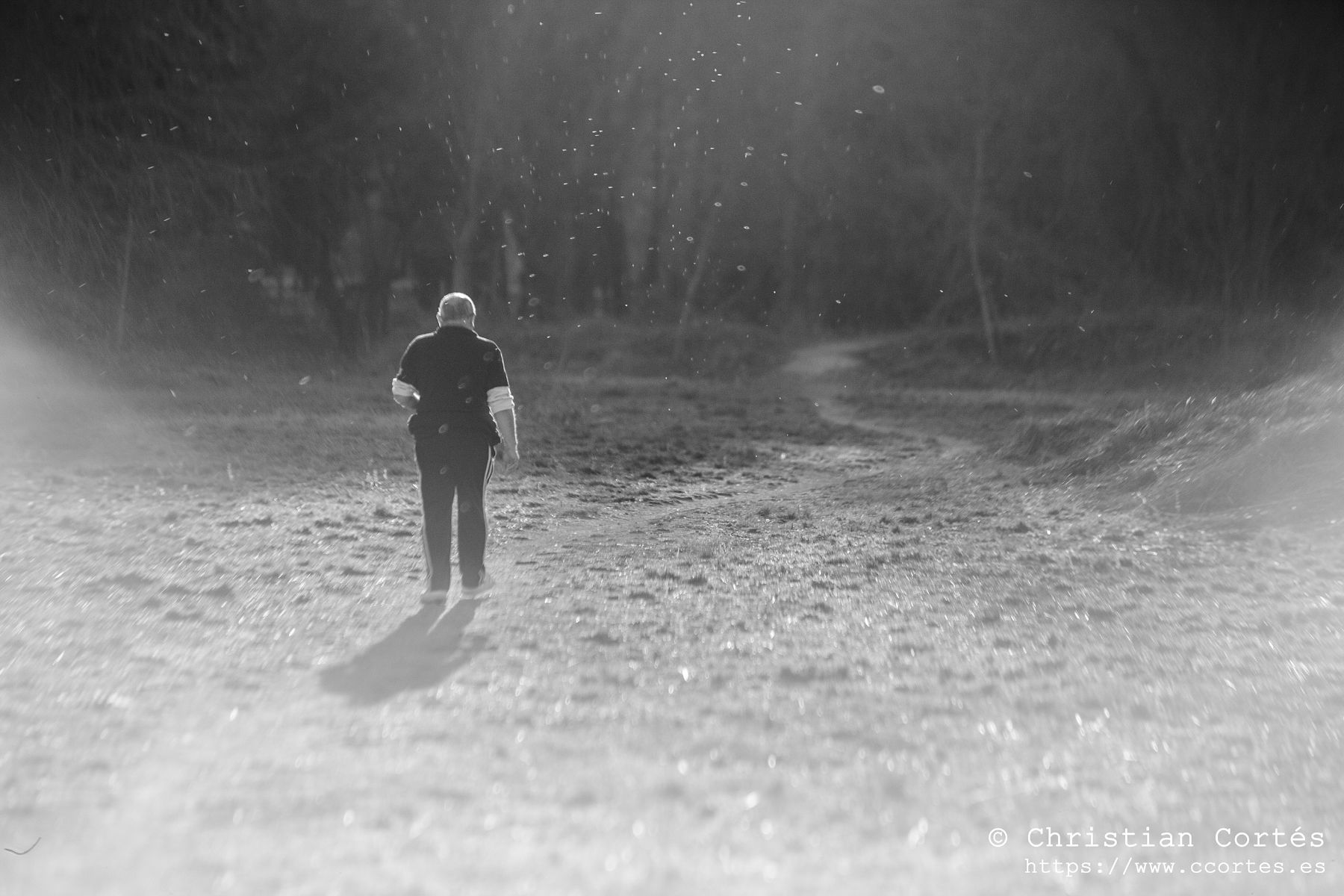 Caravaca Pentacon 00008